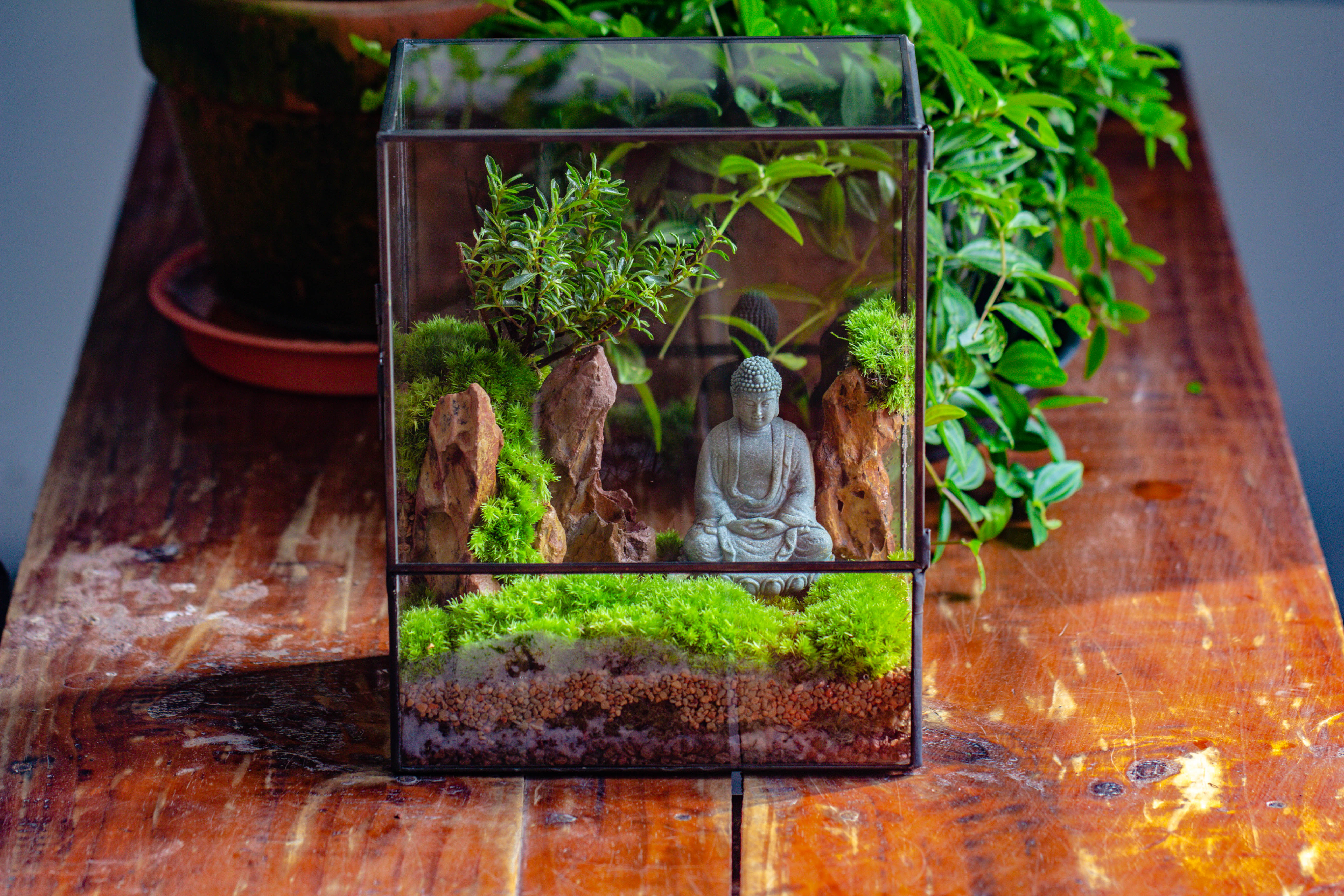 Close Geometric Glass Tin Terrarium , 8x10" and Buddha, rock, Micro Landscape Moss Terrarium Building DIY set No plants, Customizable - NCYPgarden