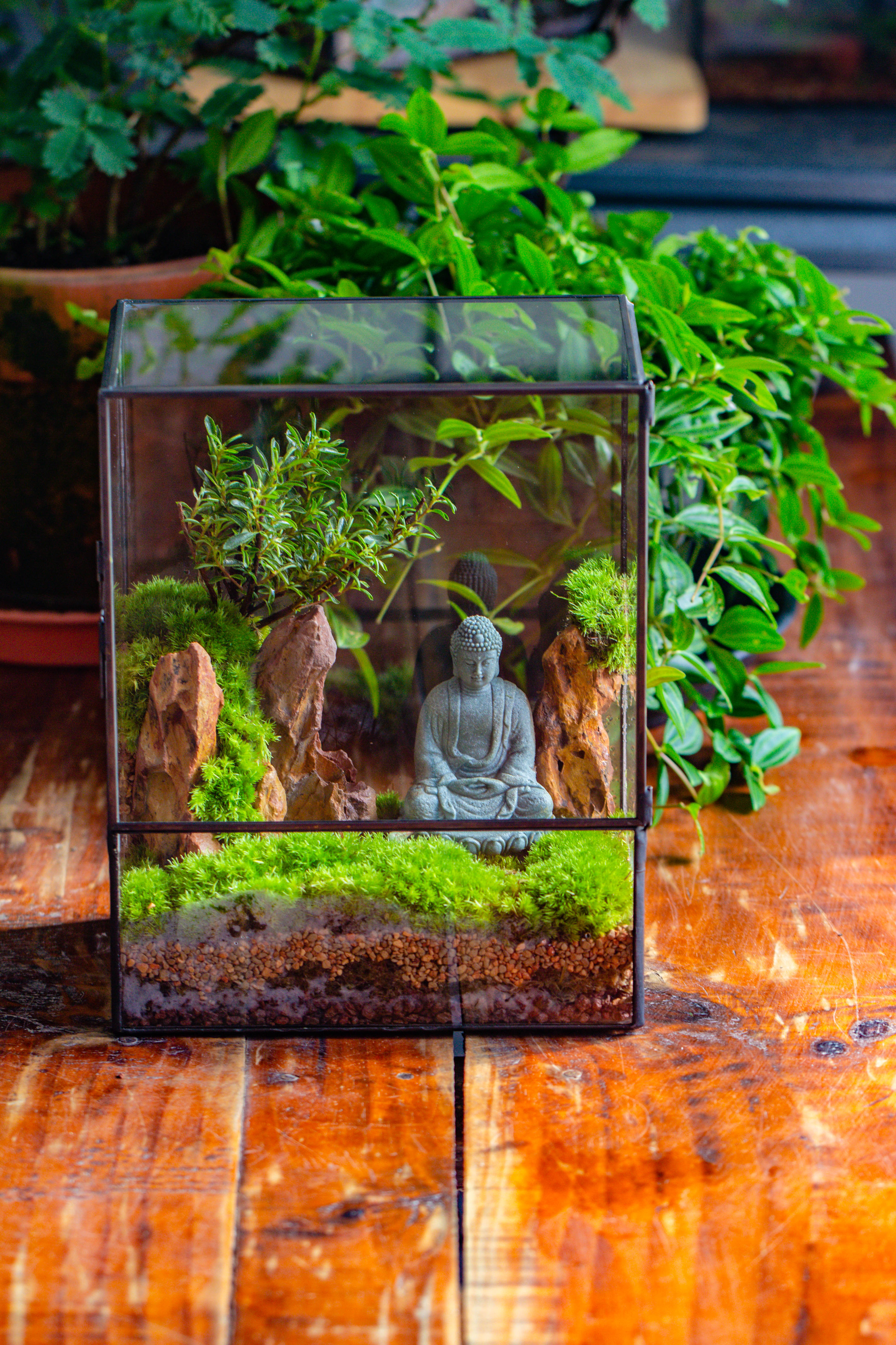 Close Geometric Glass Tin Terrarium , 8x10" and Buddha, rock, Micro Landscape Moss Terrarium Building DIY set No plants, Customizable - NCYPgarden