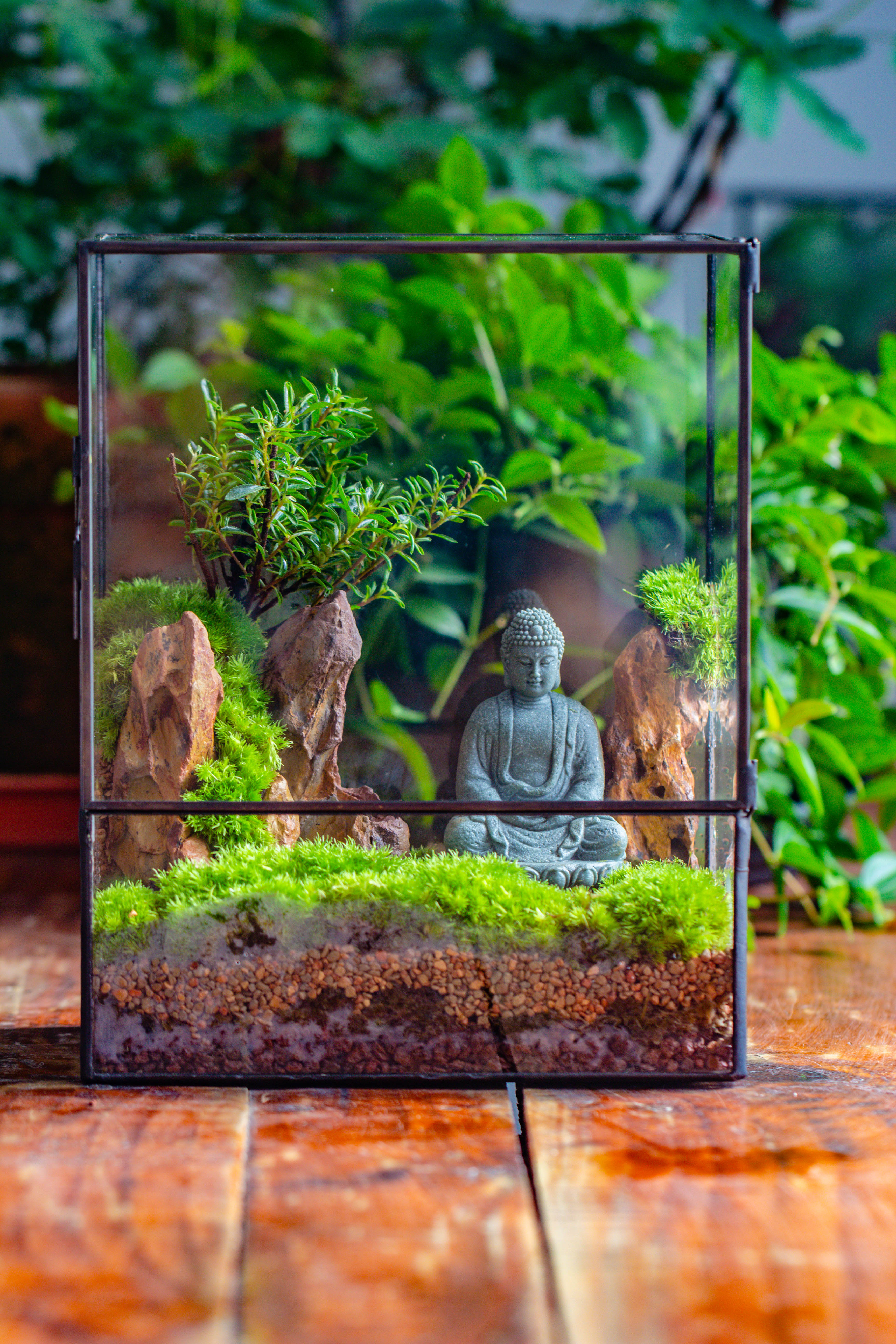 Close Geometric Glass Tin Terrarium , 8x10" and Buddha, rock, Micro Landscape Moss Terrarium Building DIY set No plants, Customizable - NCYPgarden