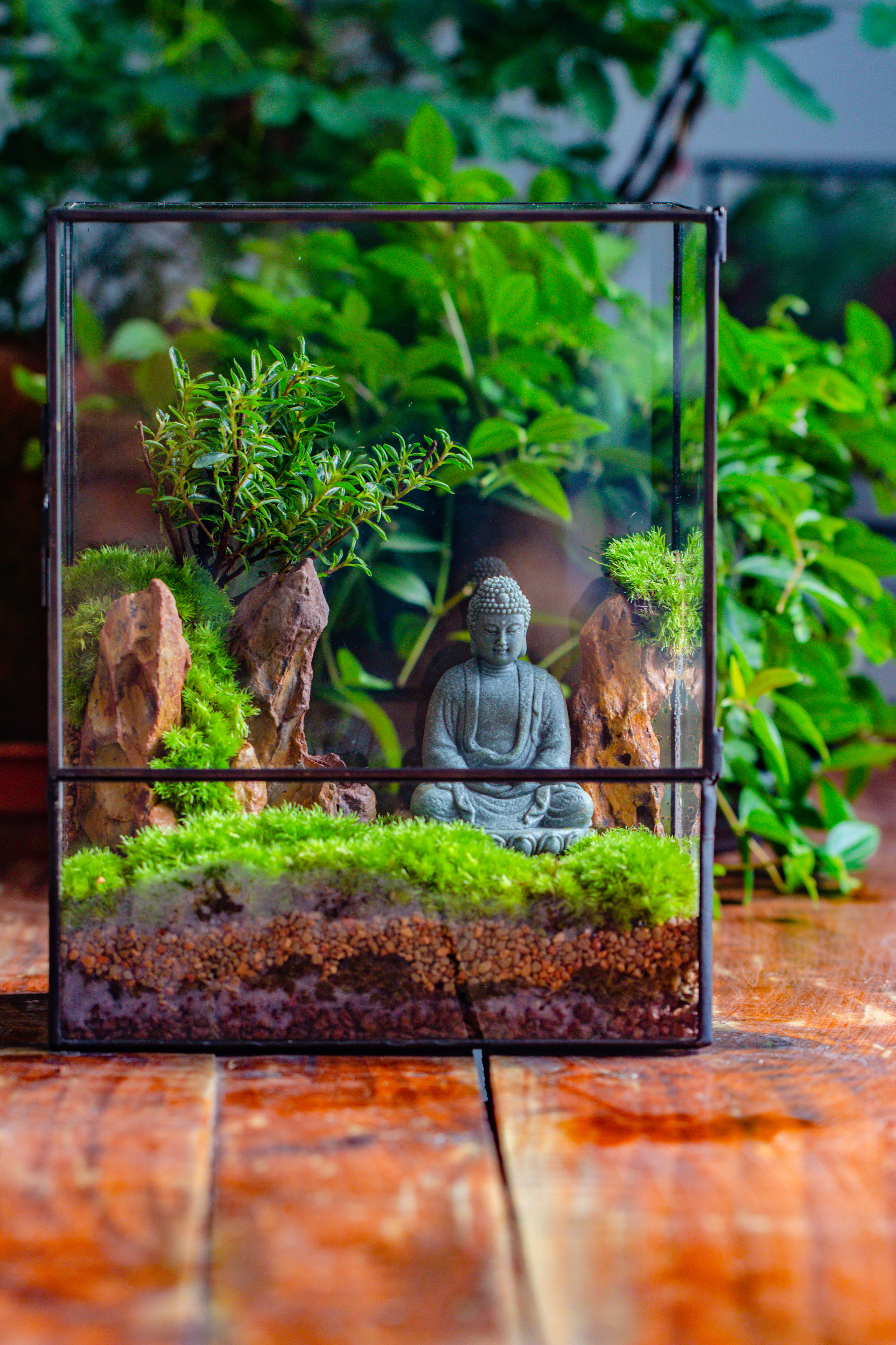 2-6" / 5-15cm cutted Flat bottom Natural Ohko Dragon Stone Rock for Terrarium, Aquarium Bonsai Landscape, 2kg/4.4lb, with DIY tools - NCYPgarden