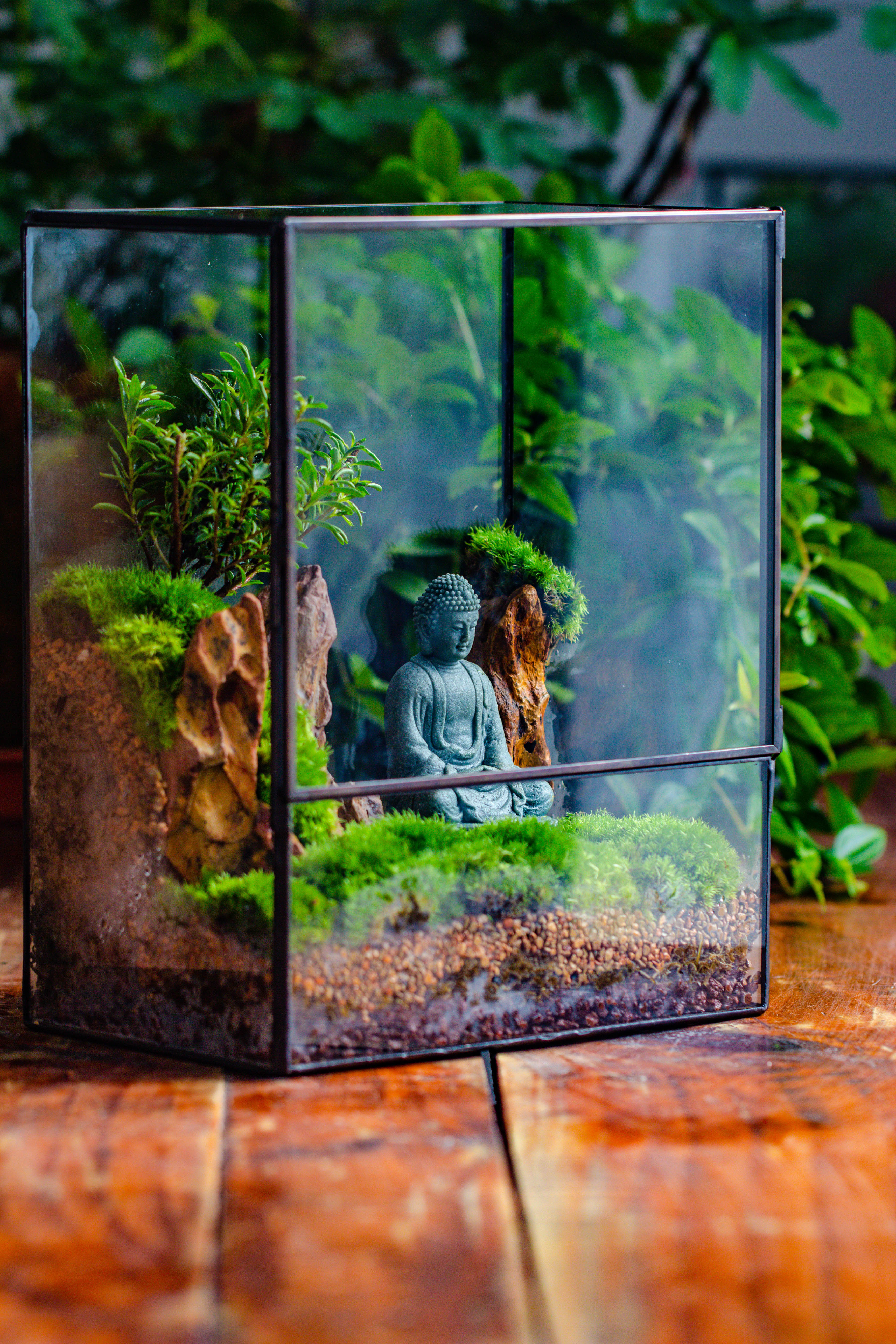 Close Geometric Glass Tin Terrarium , 8x10" and Buddha, rock, Micro Landscape Moss Terrarium Building DIY set No plants, Customizable - NCYPgarden