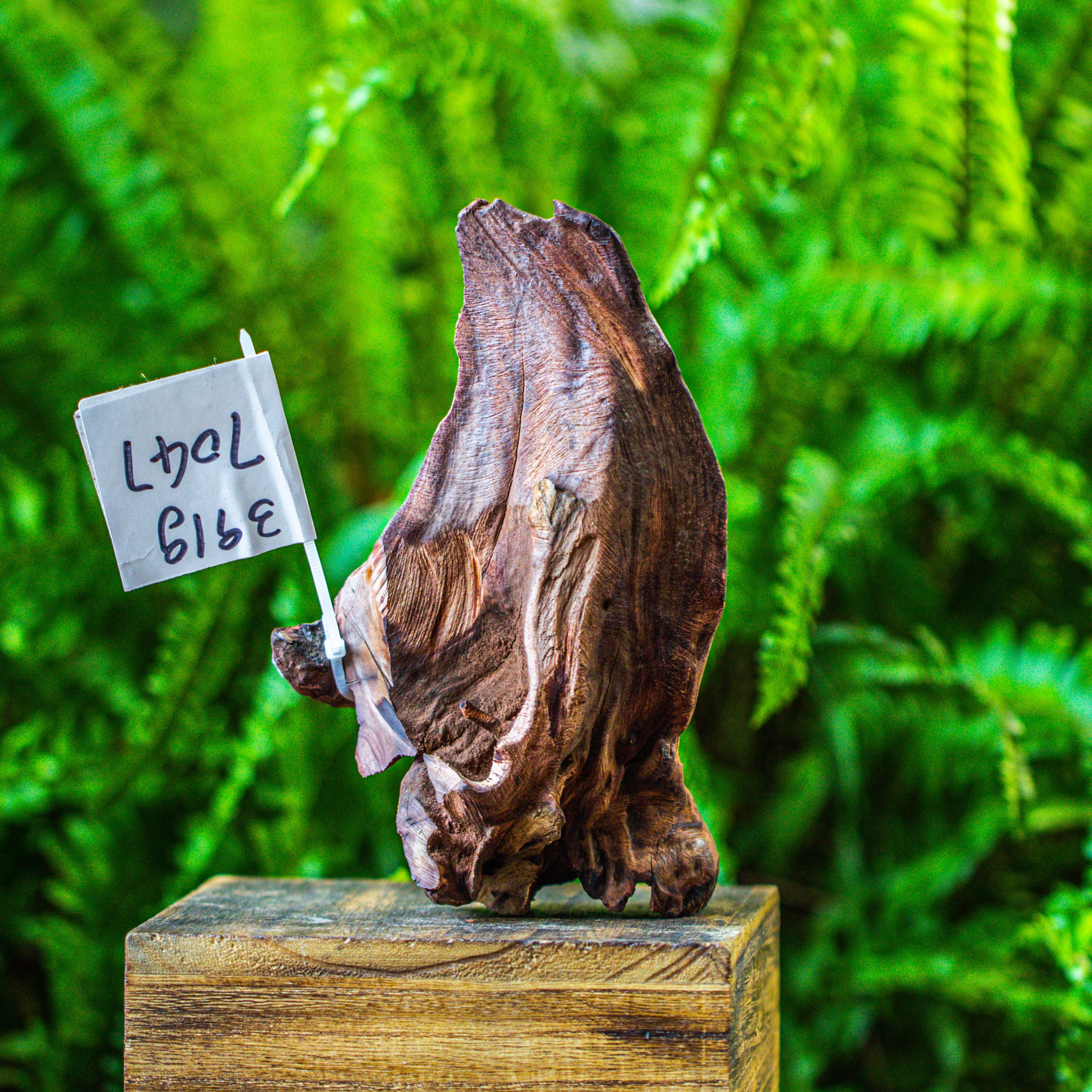 driftwood for moss terrarium, miniature, micro landscape, 7047 - NCYPgarden