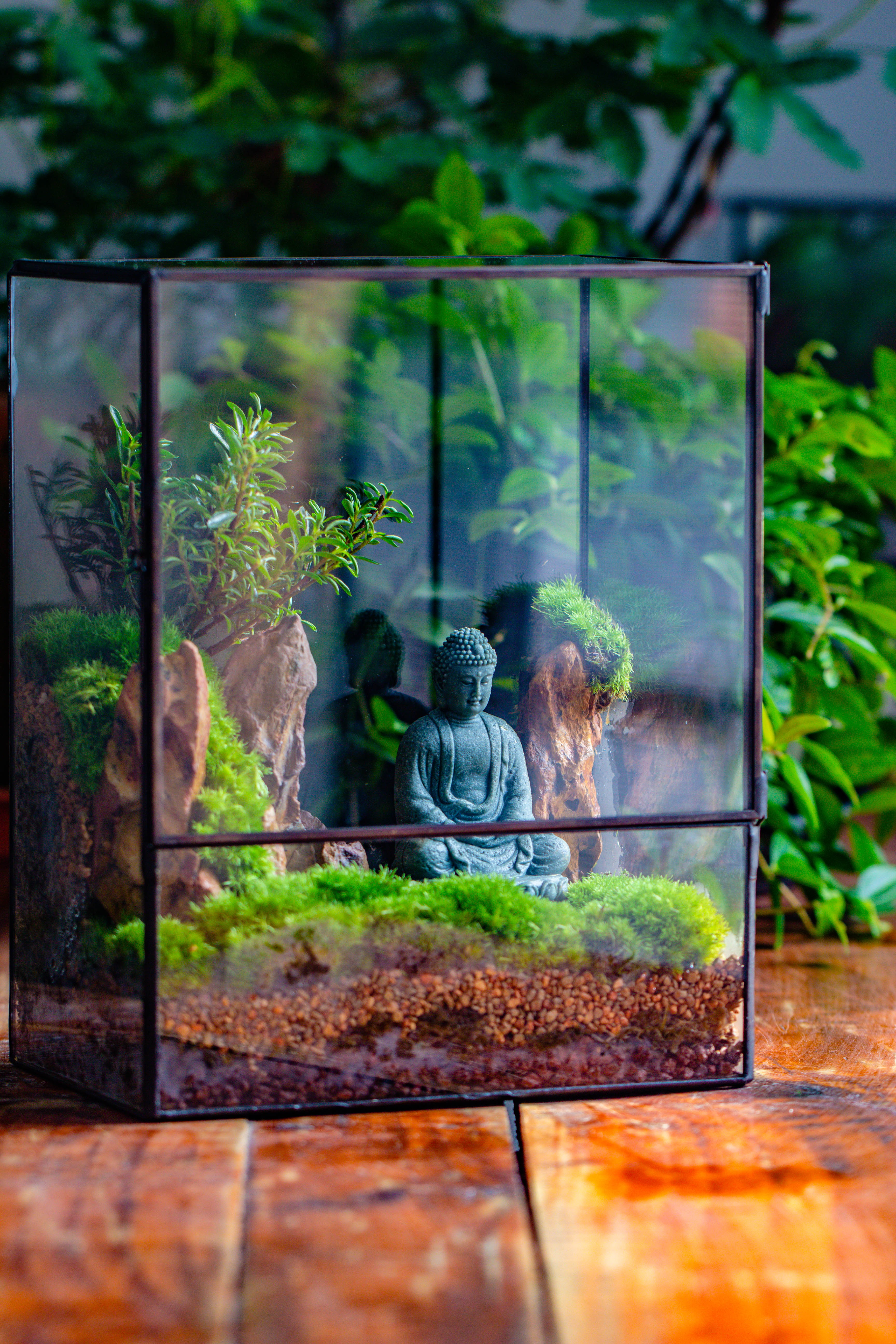 Close Geometric Glass Tin Terrarium , 8x10" and Buddha, rock, Micro Landscape Moss Terrarium Building DIY set No plants, Customizable - NCYPgarden