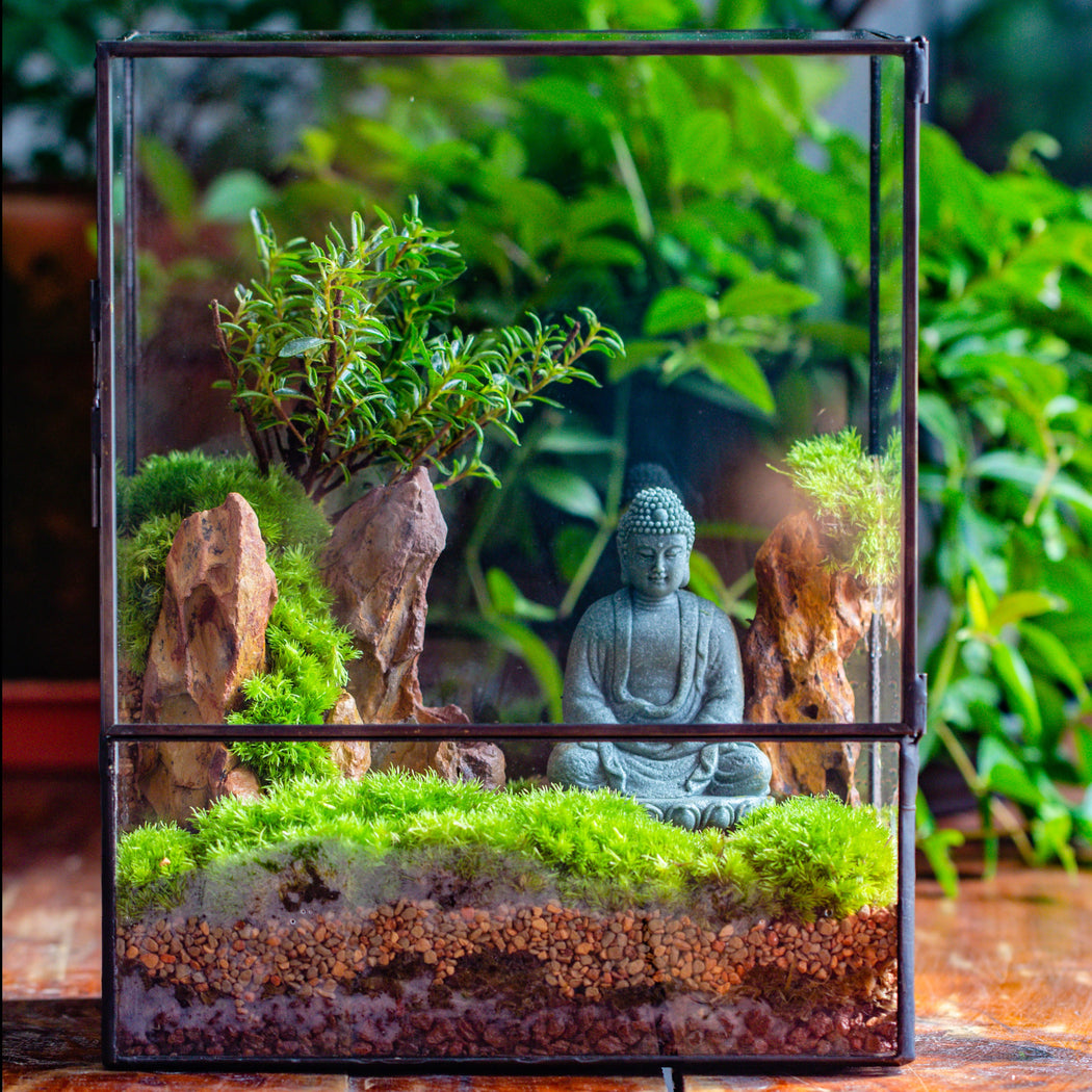 Close Geometric Glass Tin Terrarium , 8x10" and Buddha, rock, Micro Landscape Moss Terrarium Building DIY set No plants, Customizable - NCYPgarden