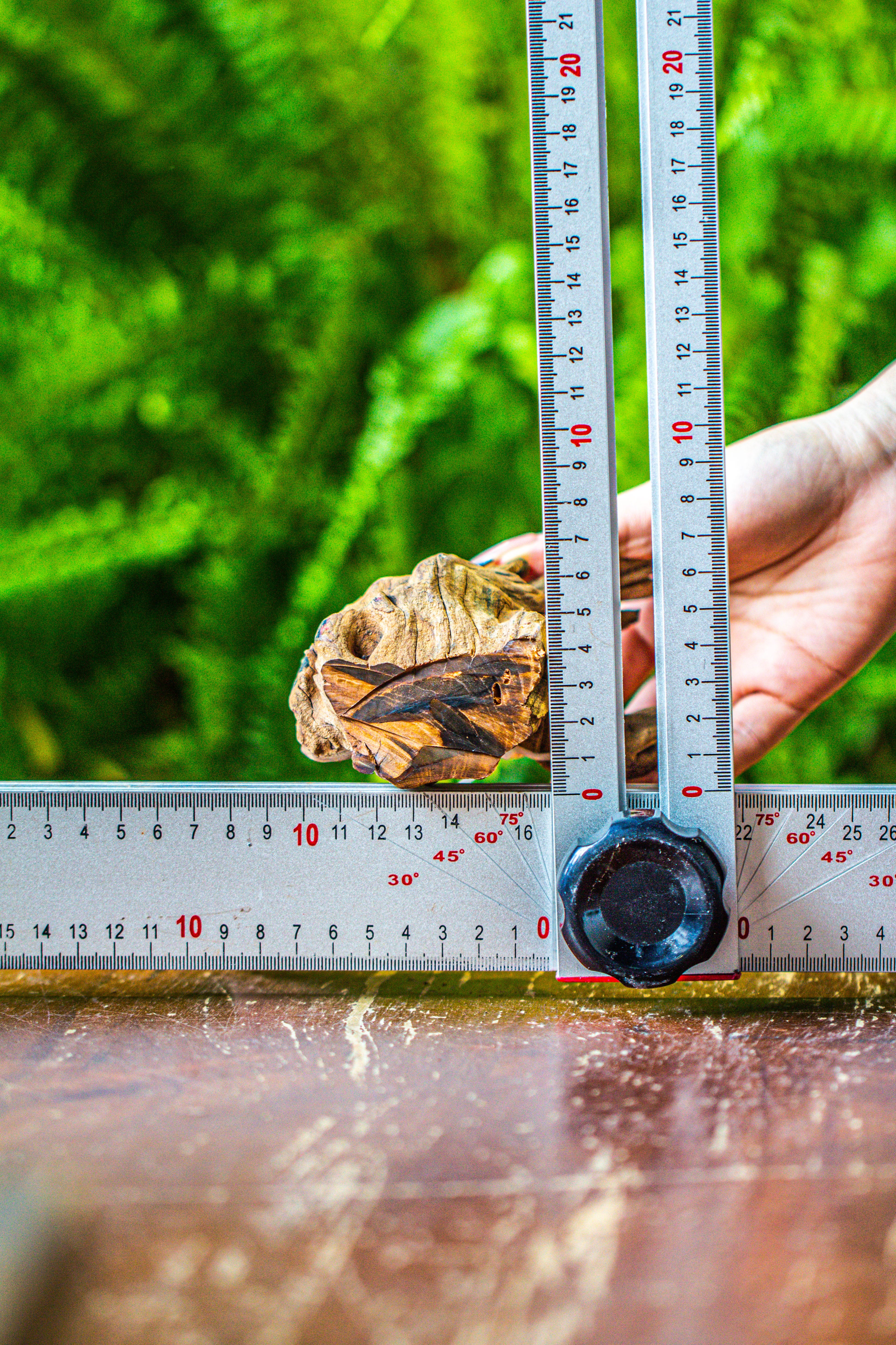 driftwood for moss terrarium, miniature, micro landscape, 7050 - NCYPgarden