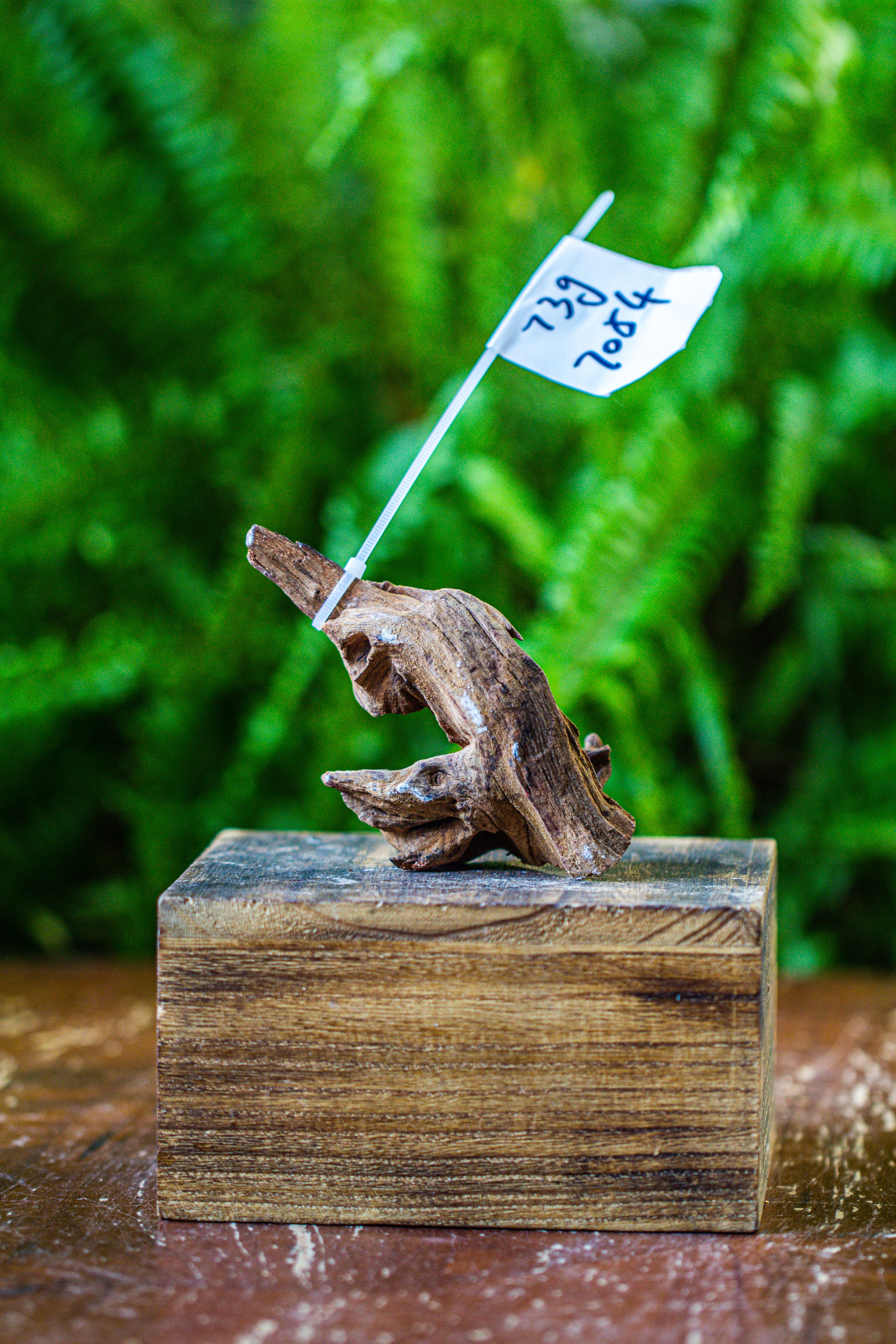 driftwood for moss terrarium, miniature, micro landscape, 7054 - NCYPgarden