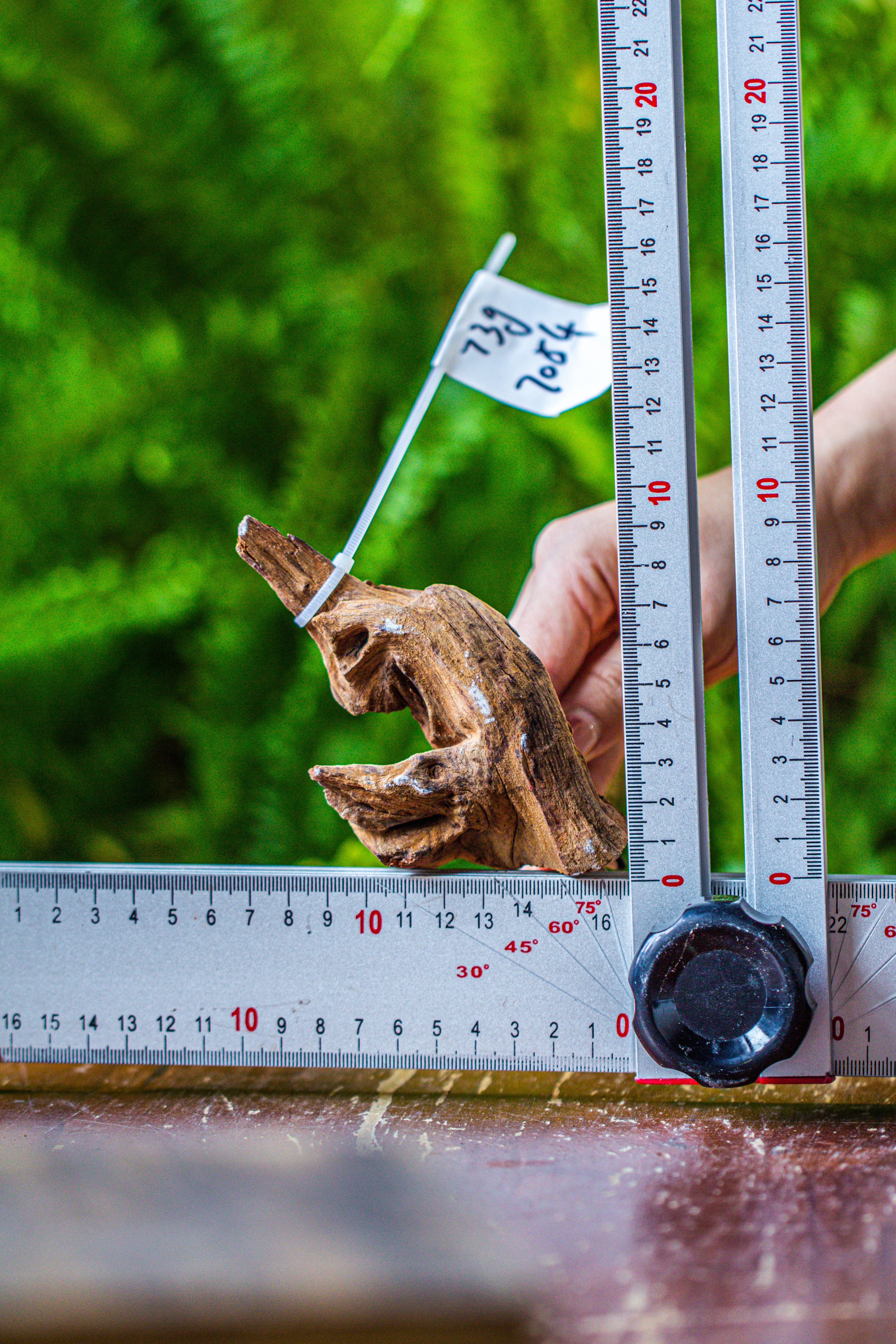 driftwood for moss terrarium, miniature, micro landscape, 7054 - NCYPgarden