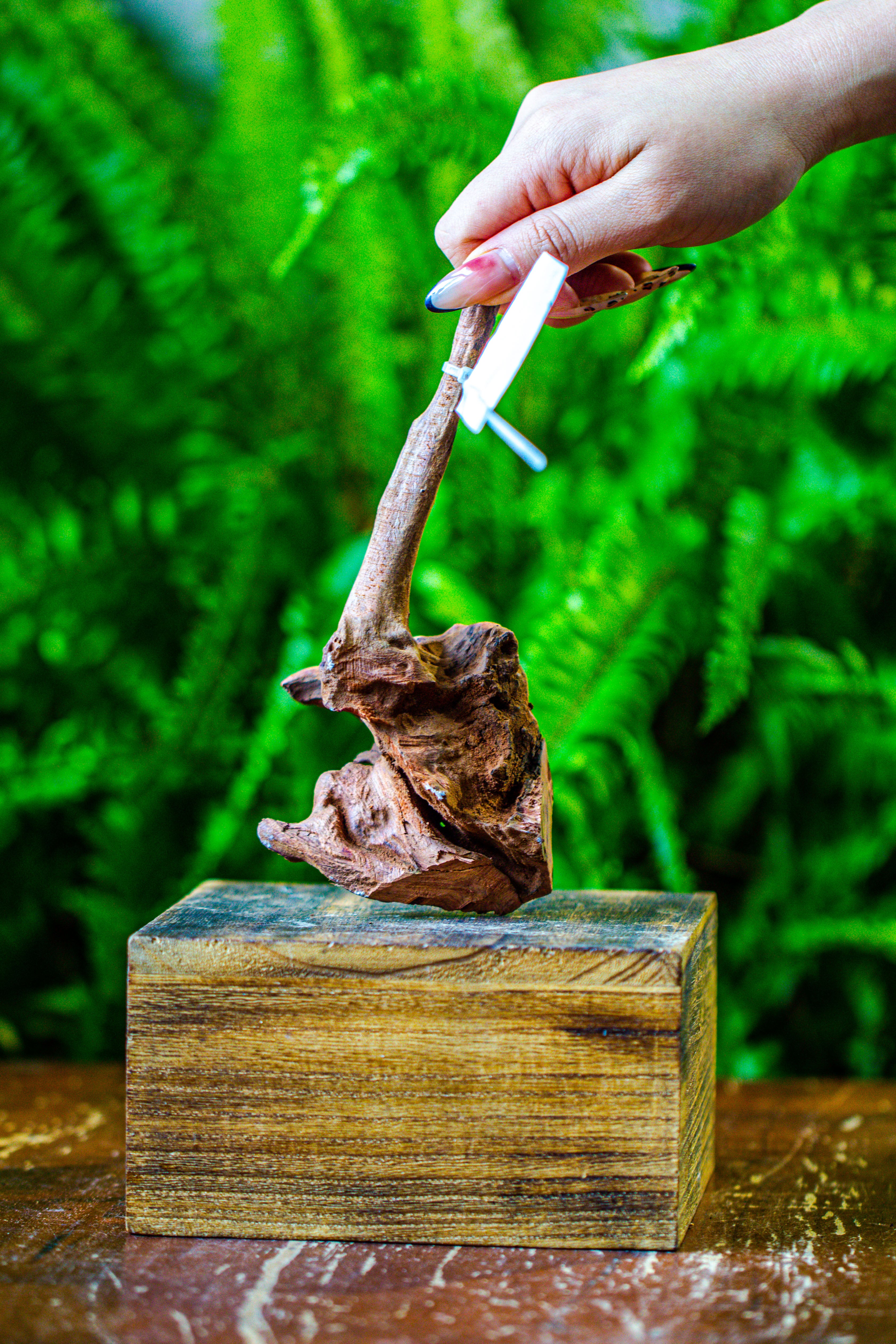 driftwood for moss terrarium, miniature, micro landscape, 7042 - NCYPgarden