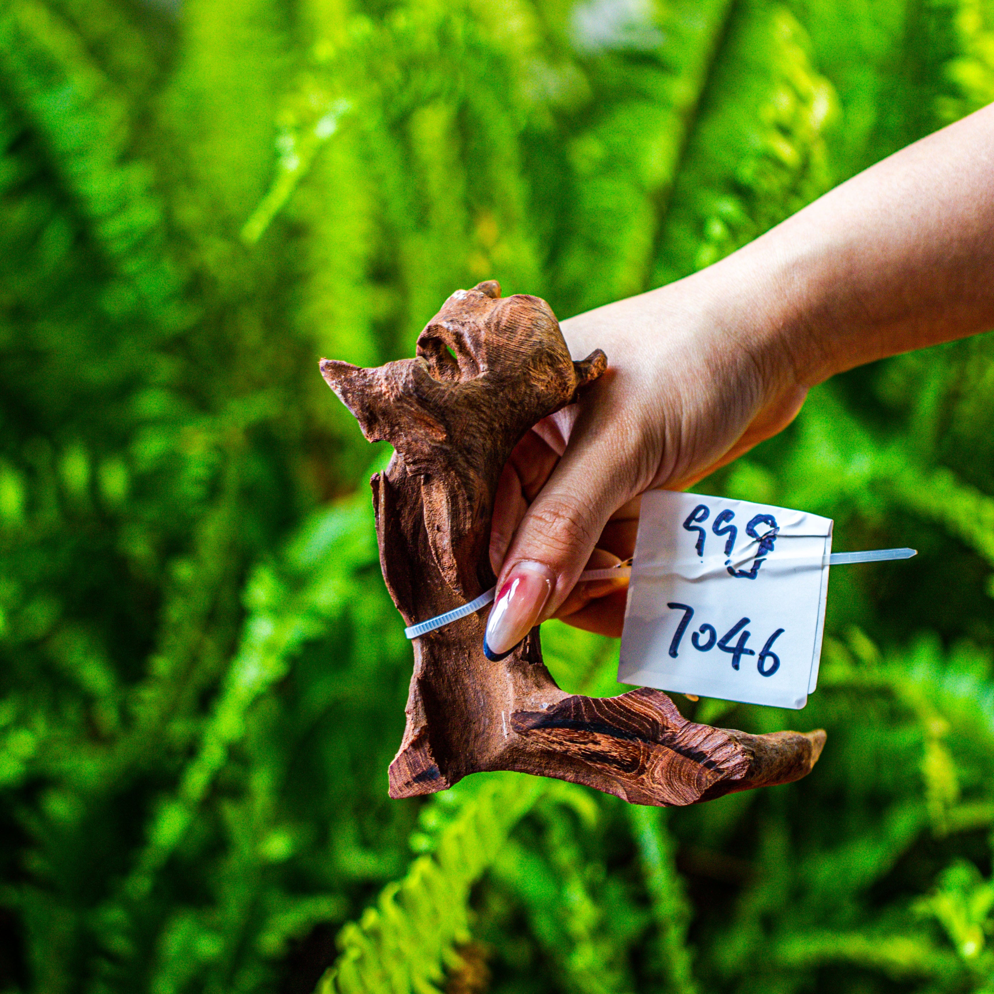 driftwood for moss terrarium, miniature, micro landscape, 7046 - NCYPgarden