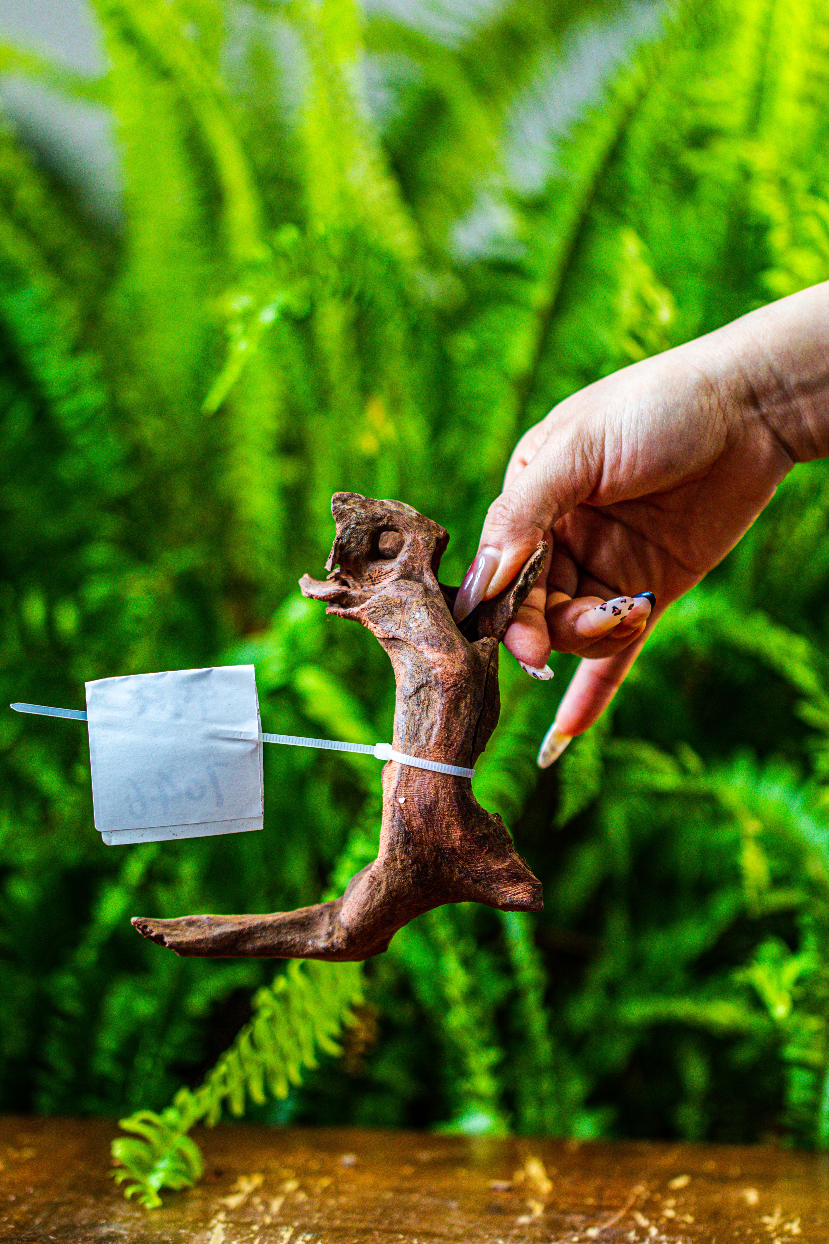 driftwood for moss terrarium, miniature, micro landscape, 7046 - NCYPgarden
