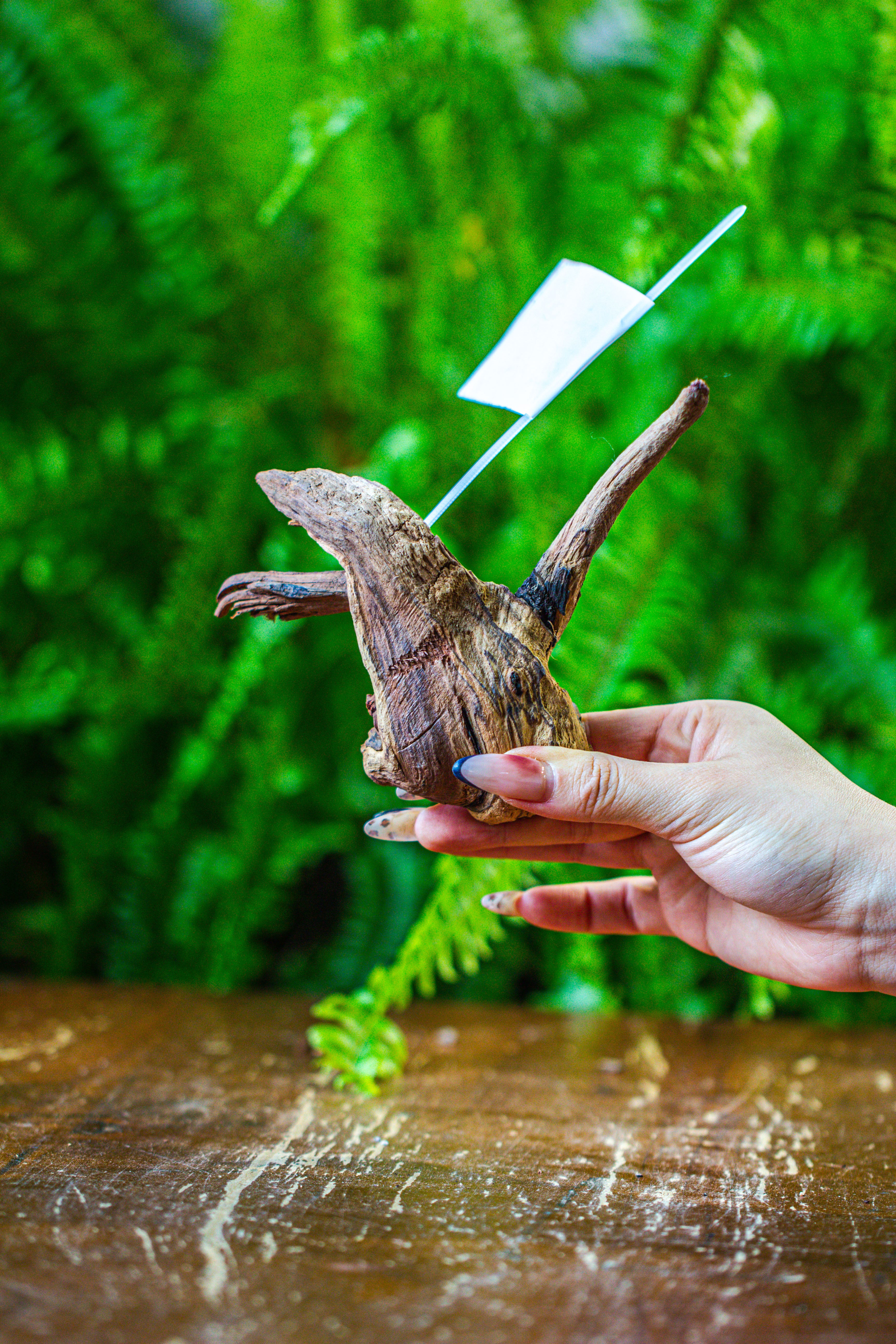 driftwood for moss terrarium, miniature, micro landscape, 7038 - NCYPgarden