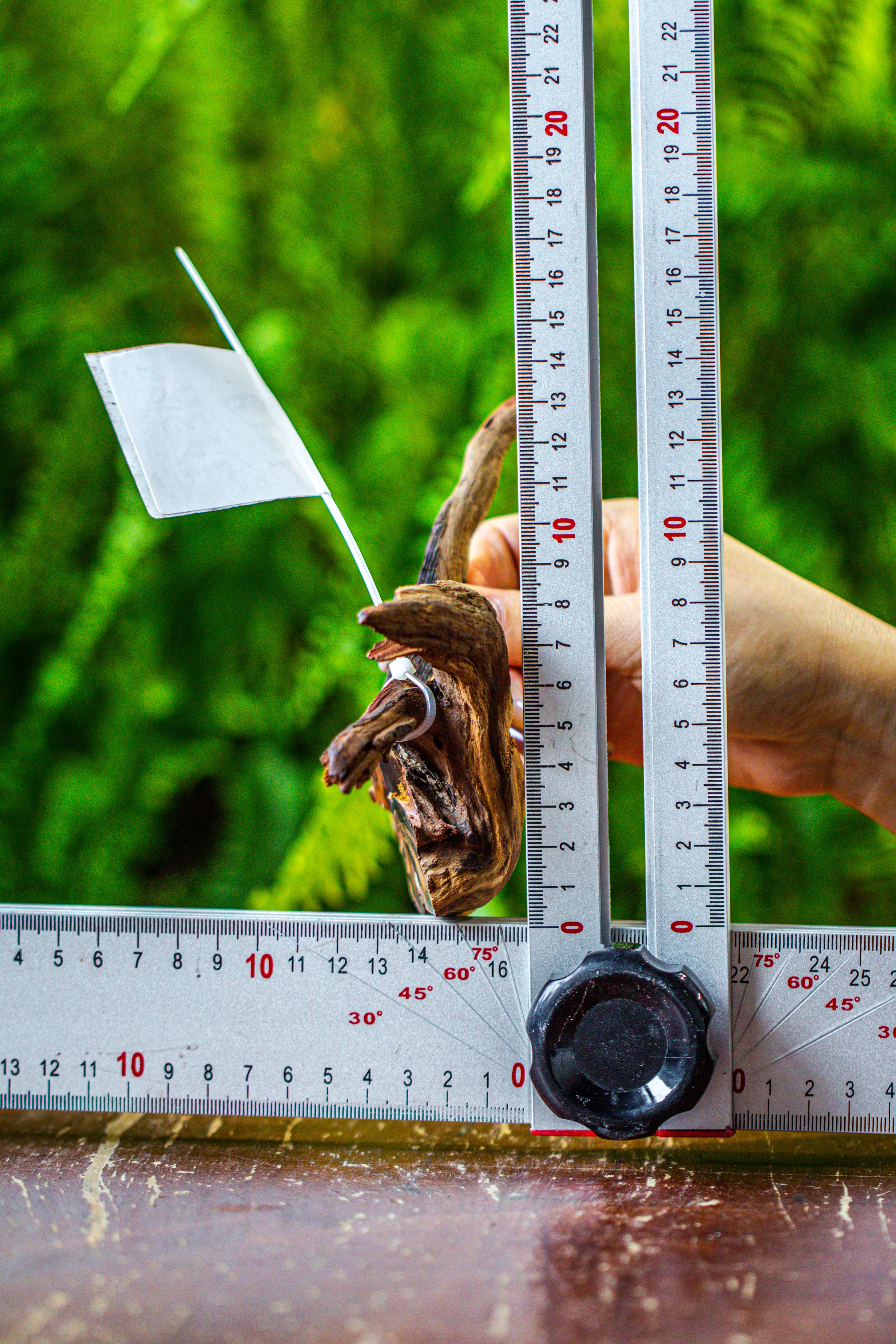 driftwood for moss terrarium, miniature, micro landscape, 7038 - NCYPgarden