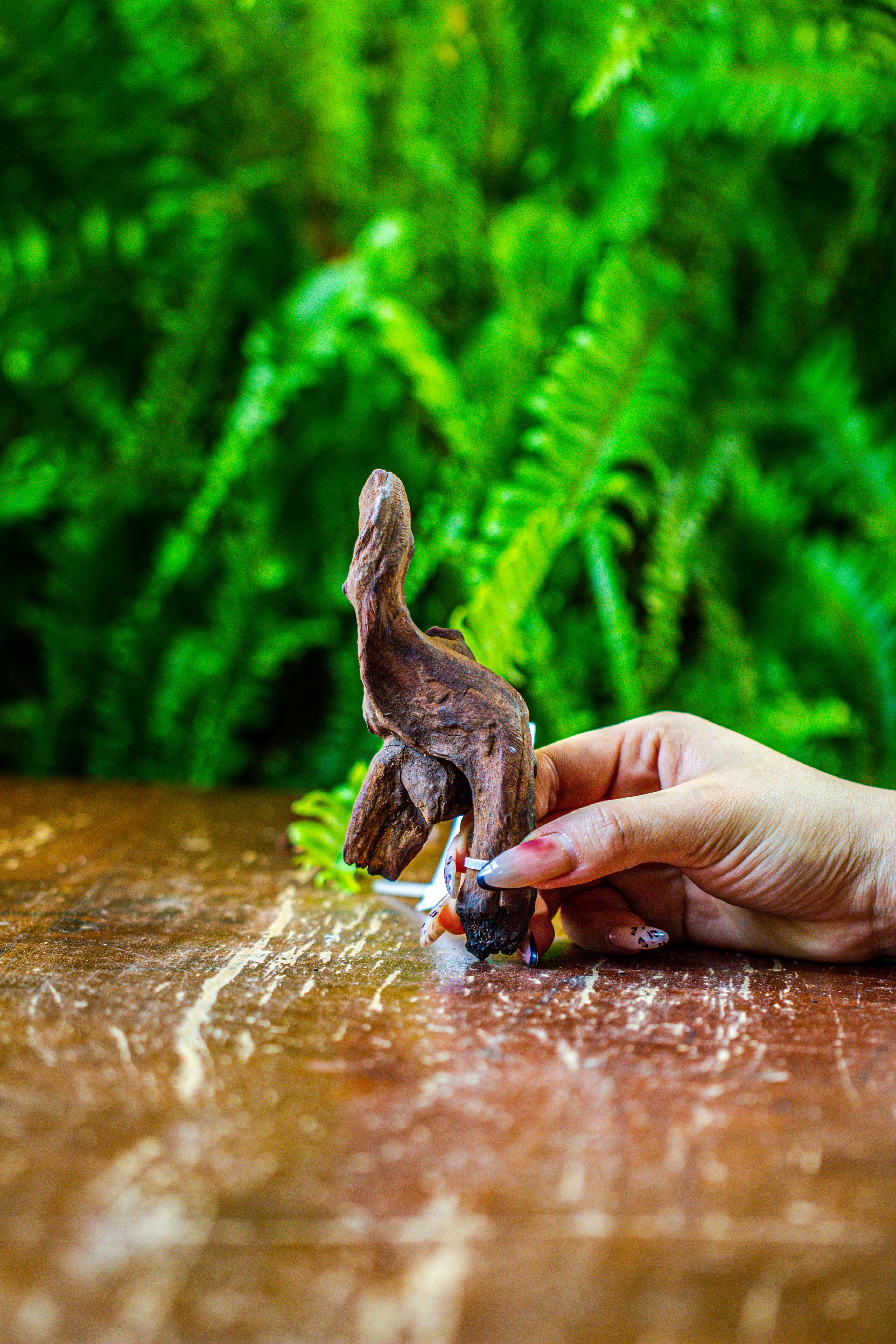 driftwood for moss terrarium, miniature, micro landscape, 7053 - NCYPgarden