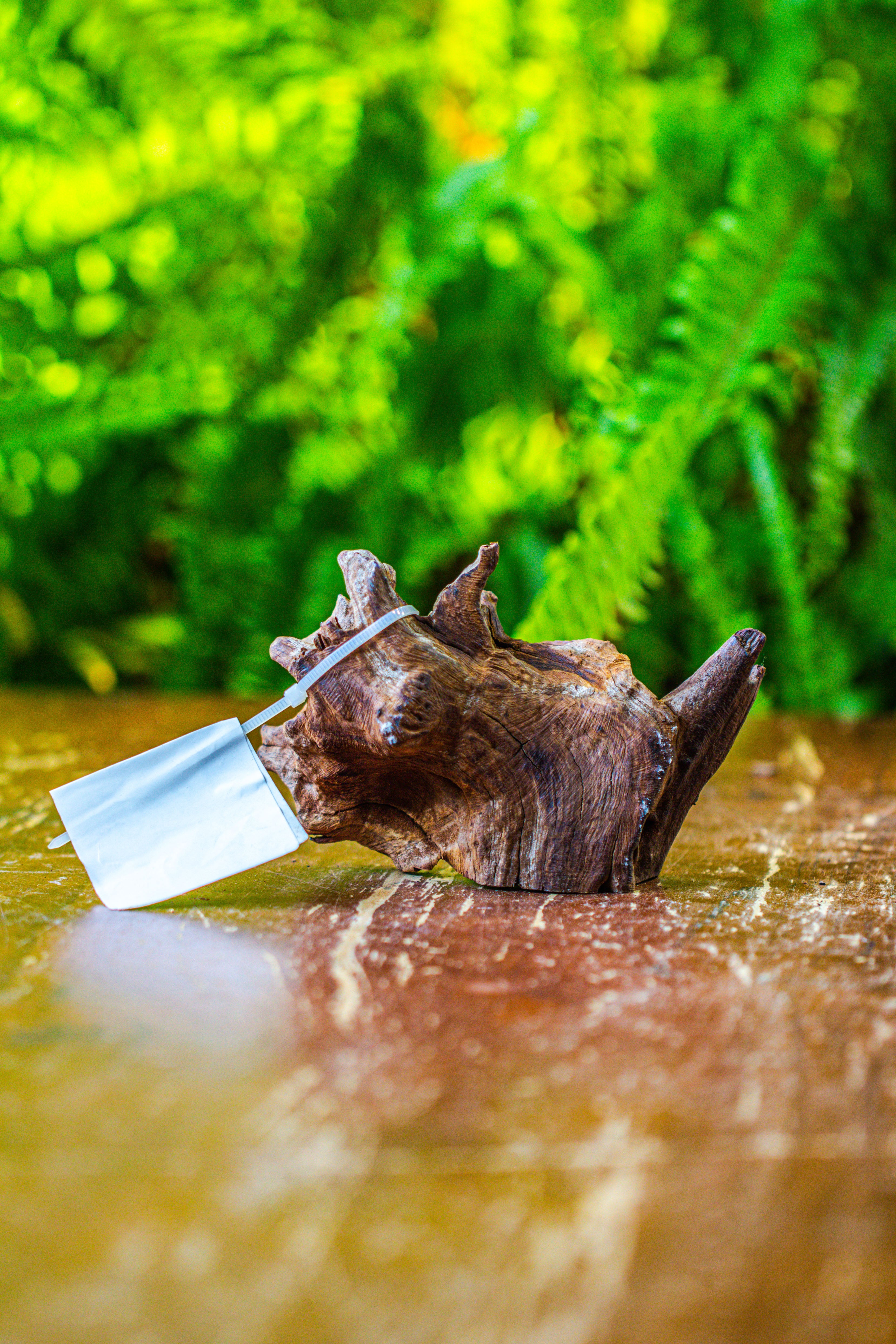 driftwood for moss terrarium, miniature, micro landscape, 7052 - NCYPgarden