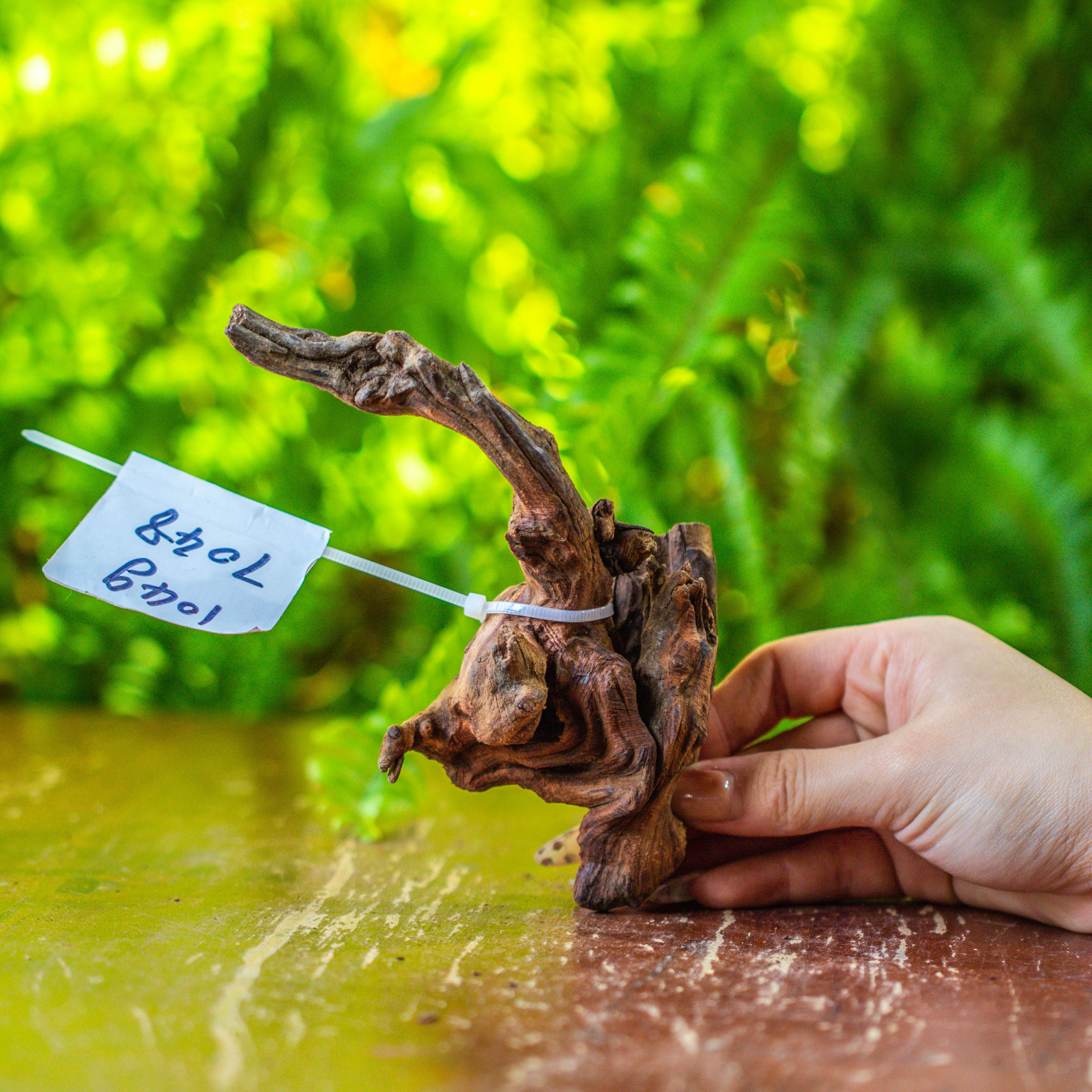 driftwood for moss terrarium, miniature, micro landscape, 7048 - NCYPgarden