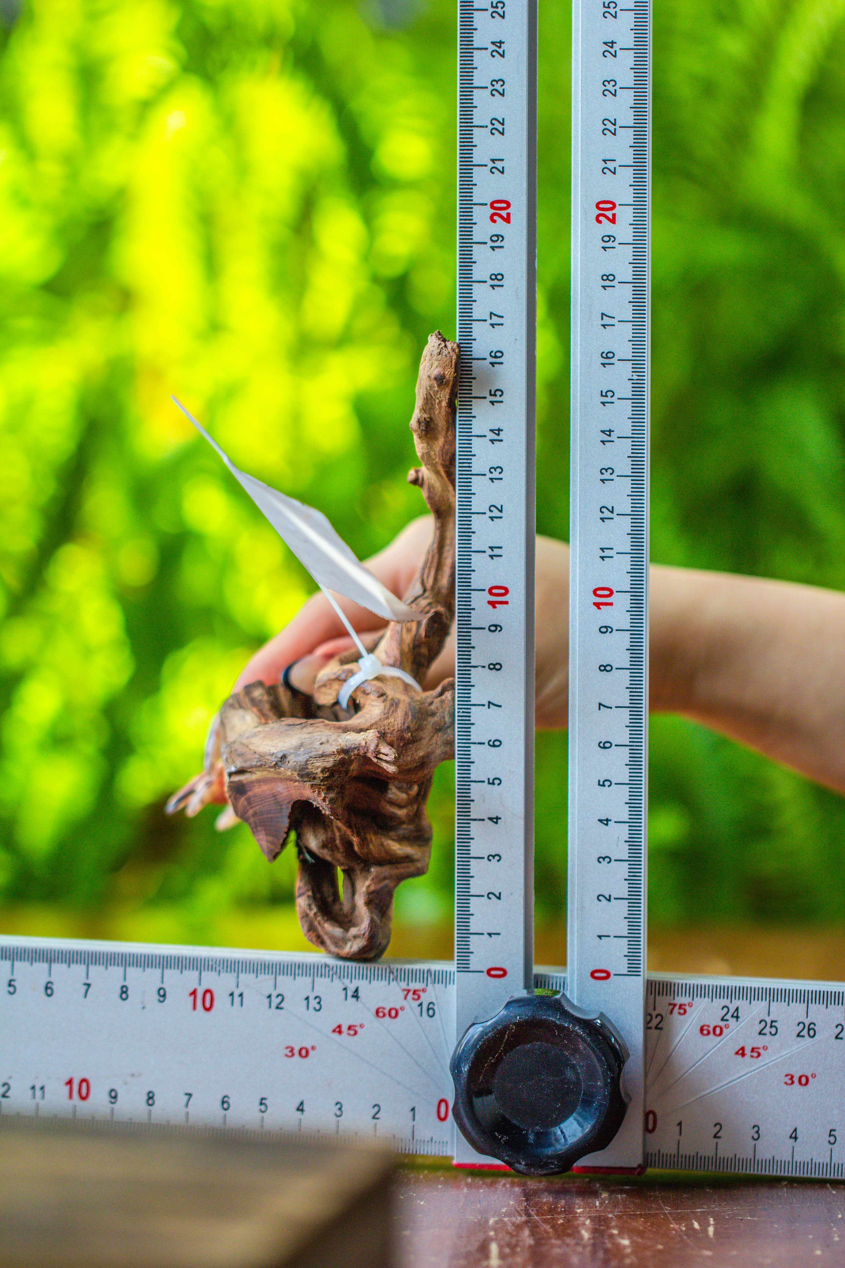 driftwood for moss terrarium, miniature, micro landscape, 7048 - NCYPgarden