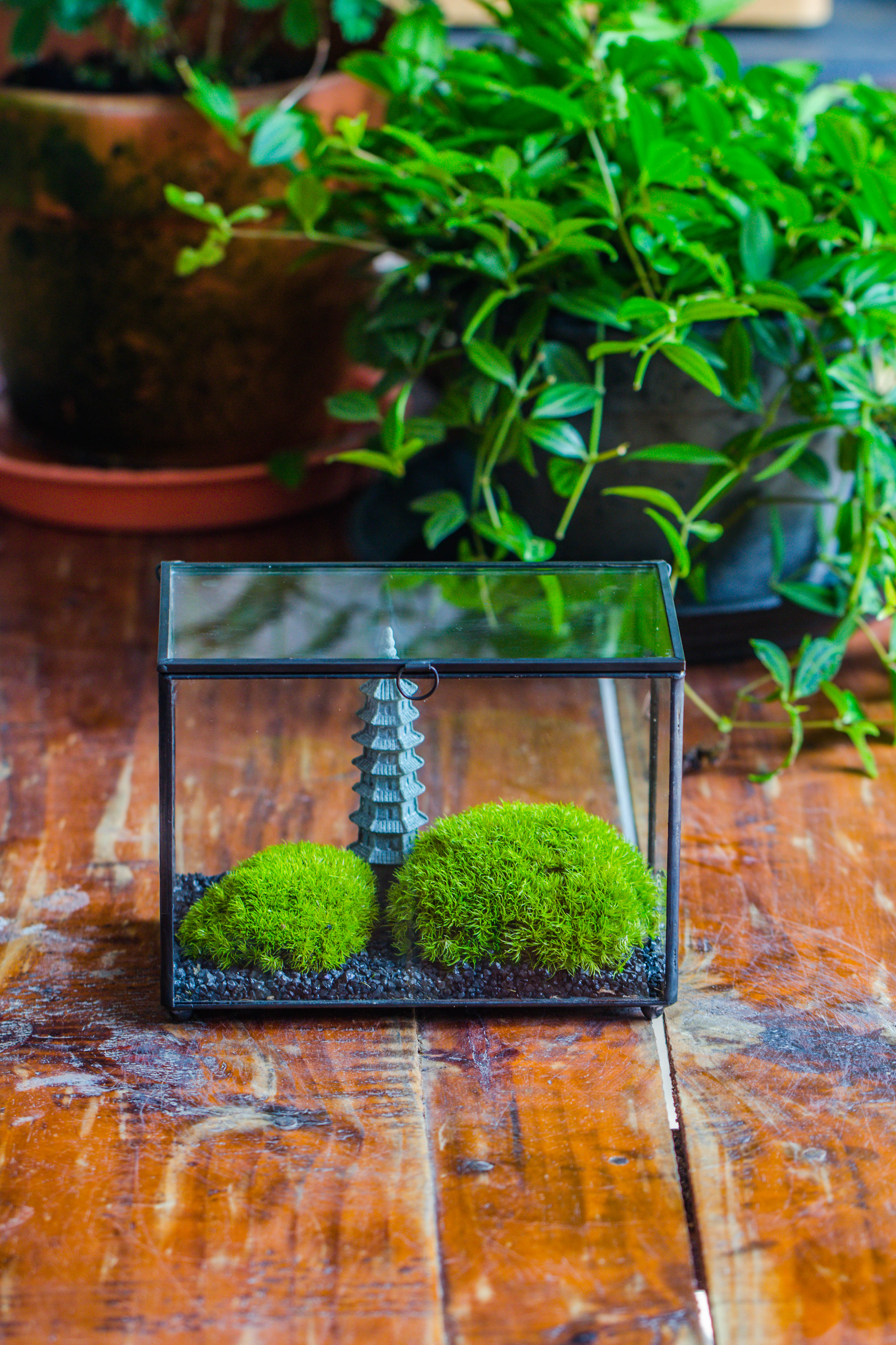 Preserved moss terrarium Miniature DIY set, Japanese Zen Style, Preserved Leucobryum moss and pagoda, 17*10*12cm / 6.7 x 3.9 x 4.7" - NCYPgarden