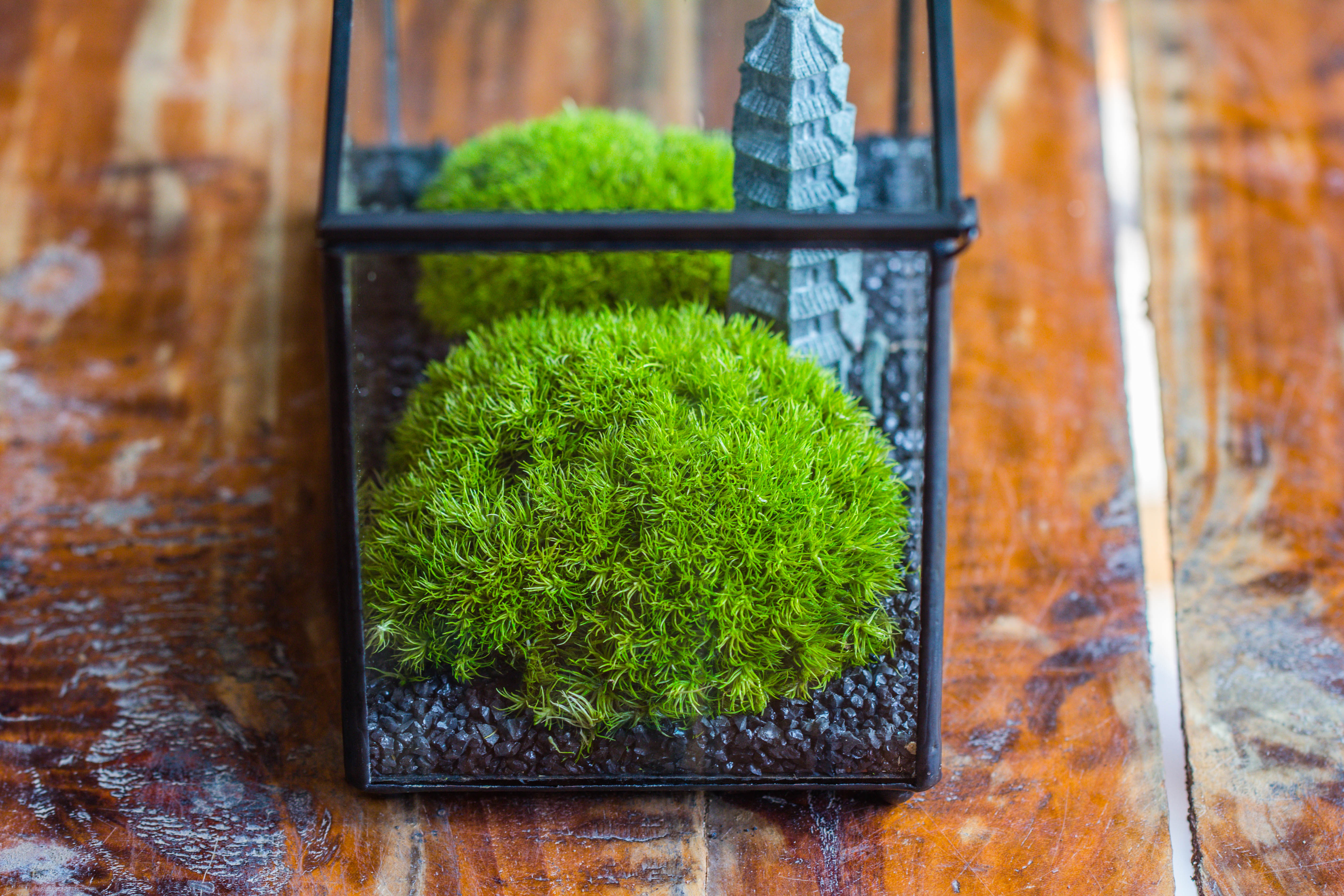 Preserved moss terrarium Miniature DIY set, Japanese Zen Style, Preserved Leucobryum moss and pagoda, 17*10*12cm / 6.7 x 3.9 x 4.7" - NCYPgarden