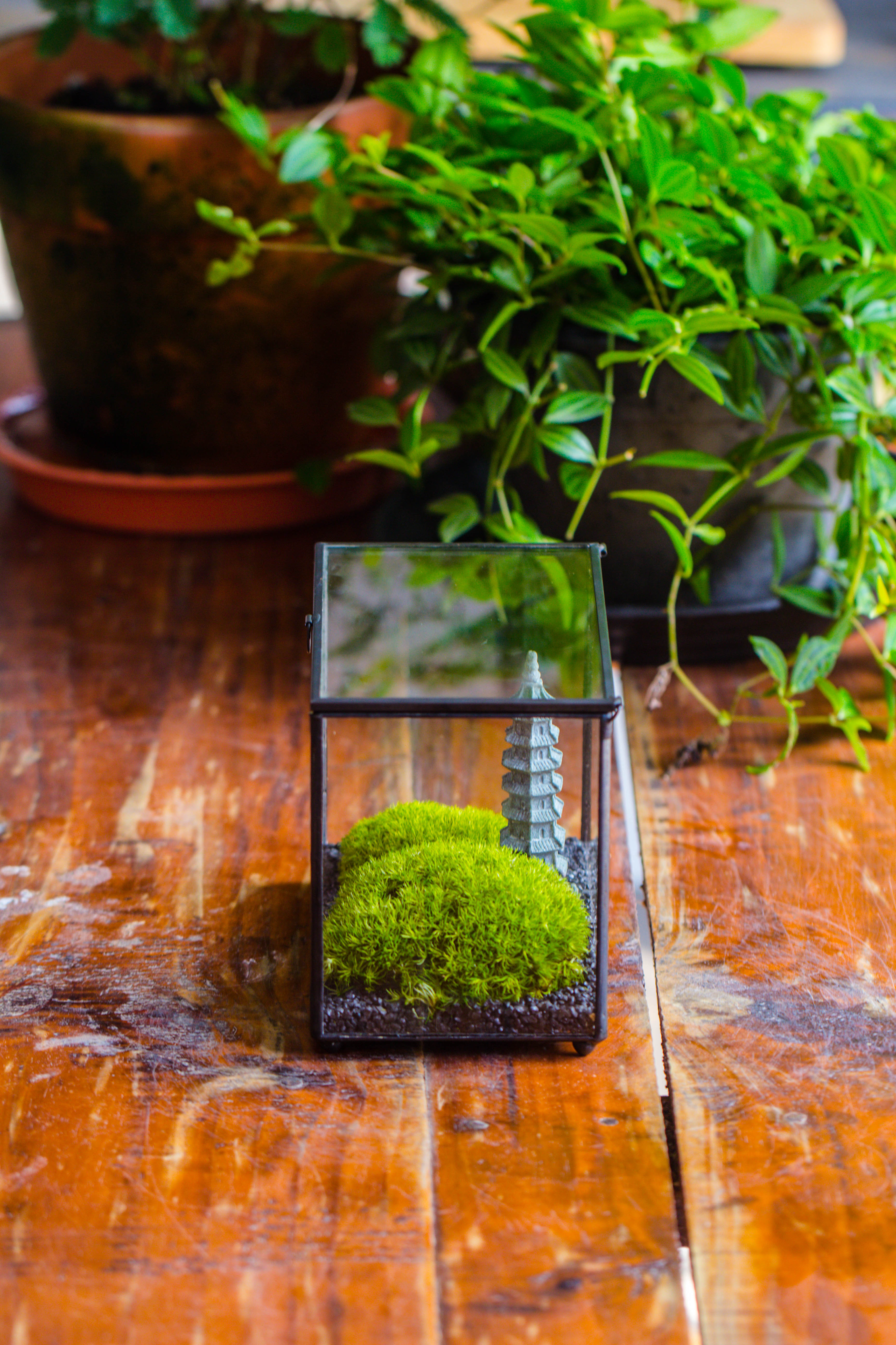 Preserved moss terrarium Miniature DIY set, Japanese Zen Style, Preserved Leucobryum moss and pagoda, 17*10*12cm / 6.7 x 3.9 x 4.7" - NCYPgarden