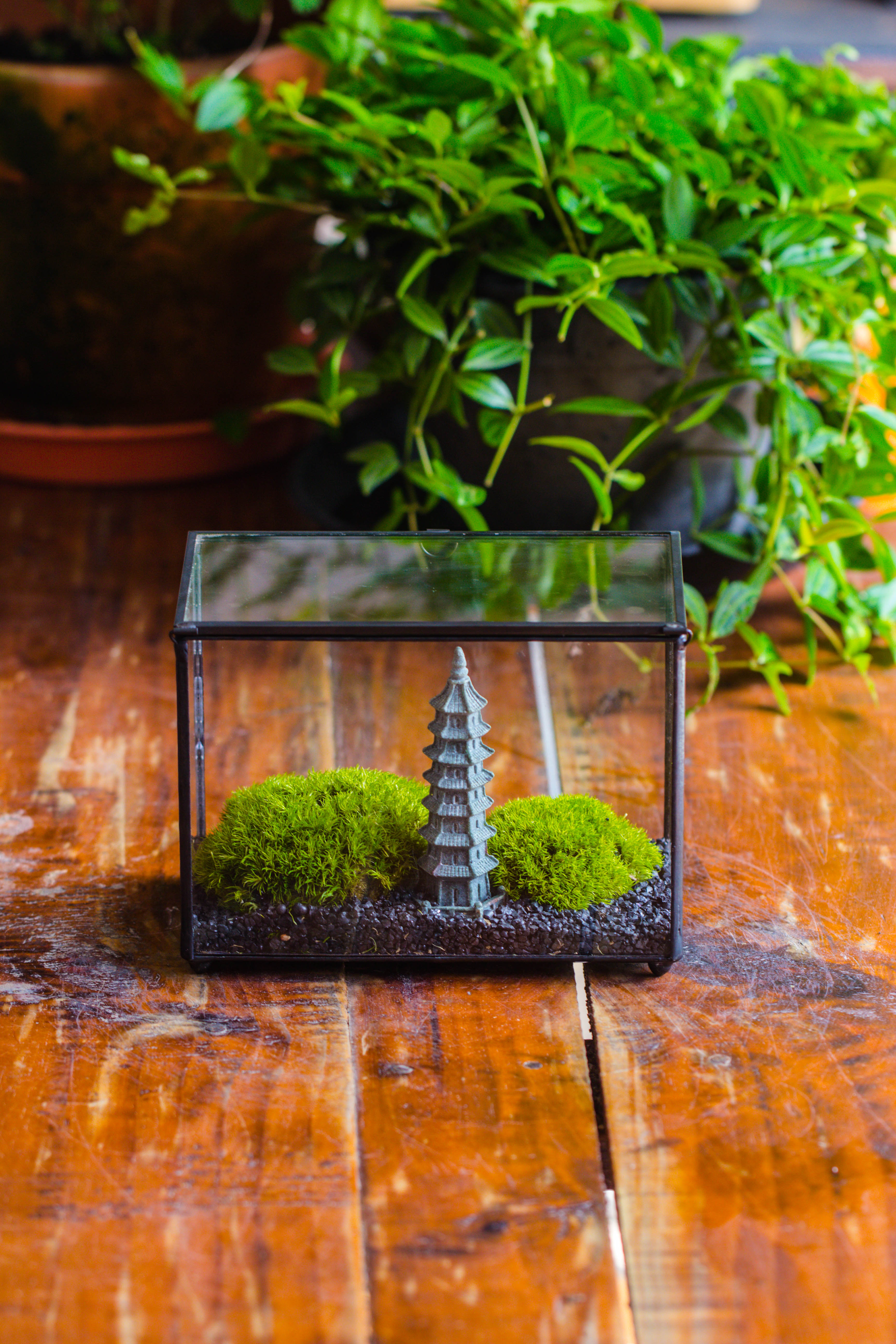 Preserved moss terrarium Miniature DIY set, Japanese Zen Style, Preserved Leucobryum moss and pagoda, 17*10*12cm / 6.7 x 3.9 x 4.7" - NCYPgarden
