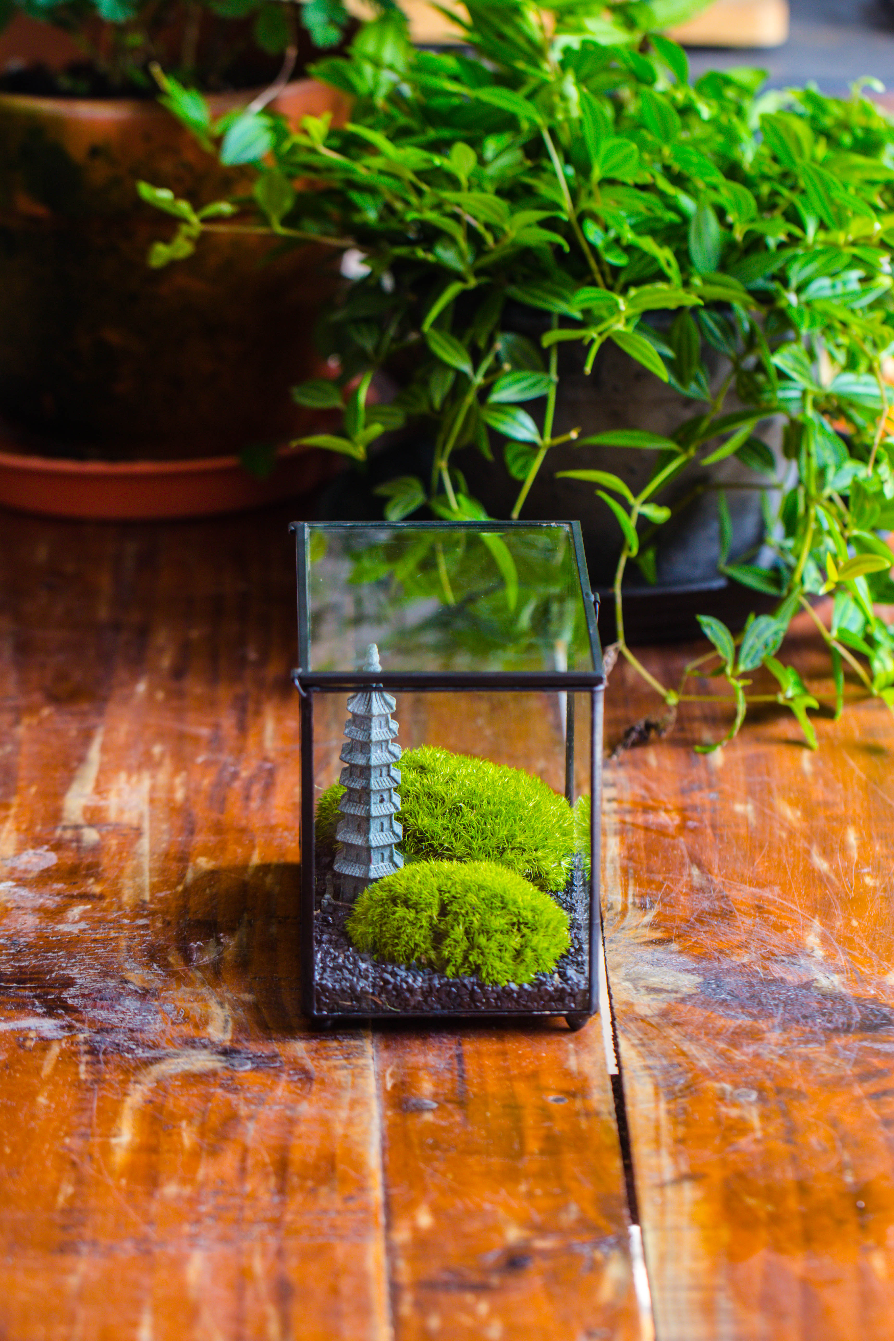 Preserved moss terrarium Miniature DIY set, Japanese Zen Style, Preserved Leucobryum moss and pagoda, 17*10*12cm / 6.7 x 3.9 x 4.7" - NCYPgarden