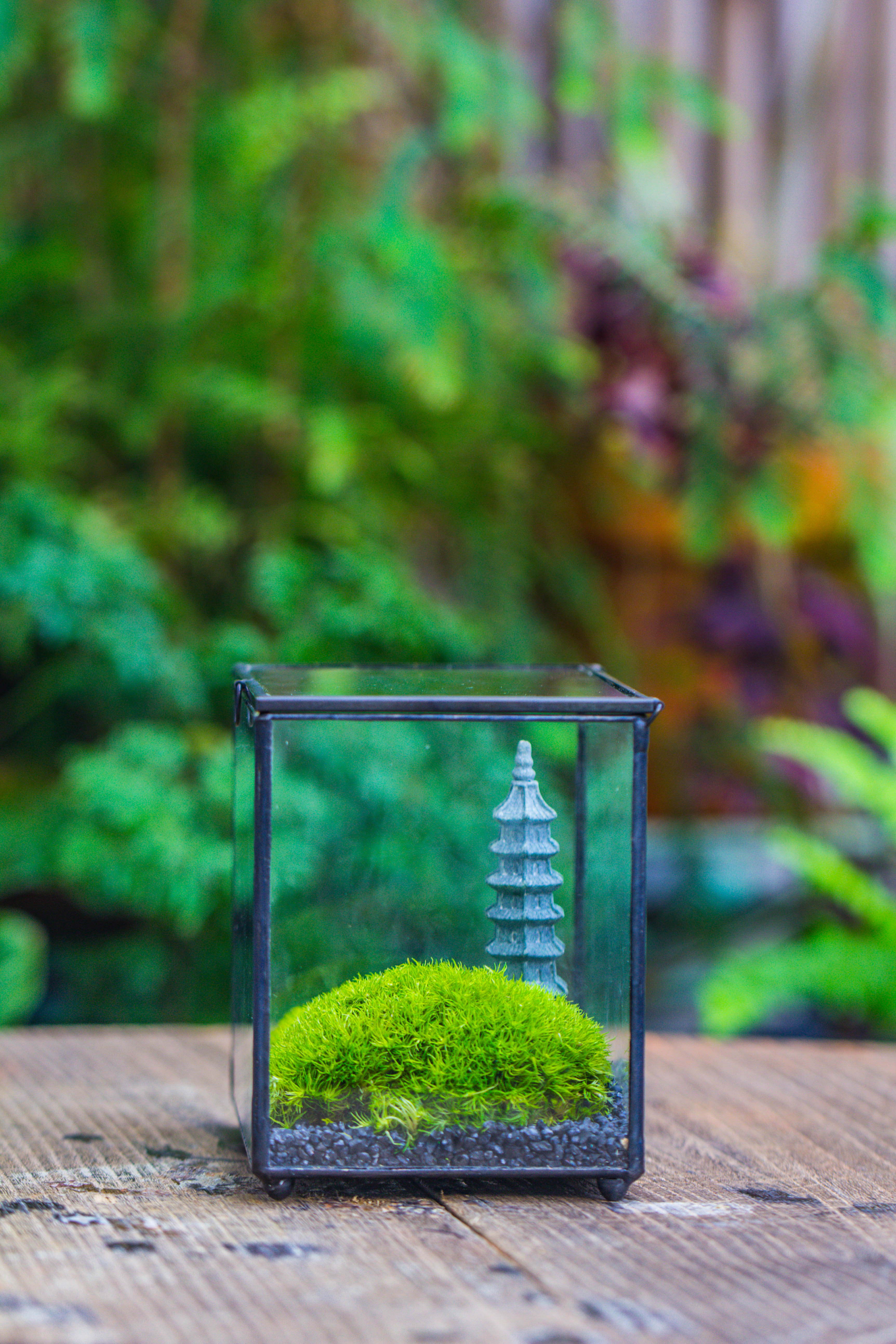 Preserved moss terrarium Miniature DIY set, Japanese Zen Style, Preserved Leucobryum moss and pagoda, 17*10*12cm / 6.7 x 3.9 x 4.7" - NCYPgarden