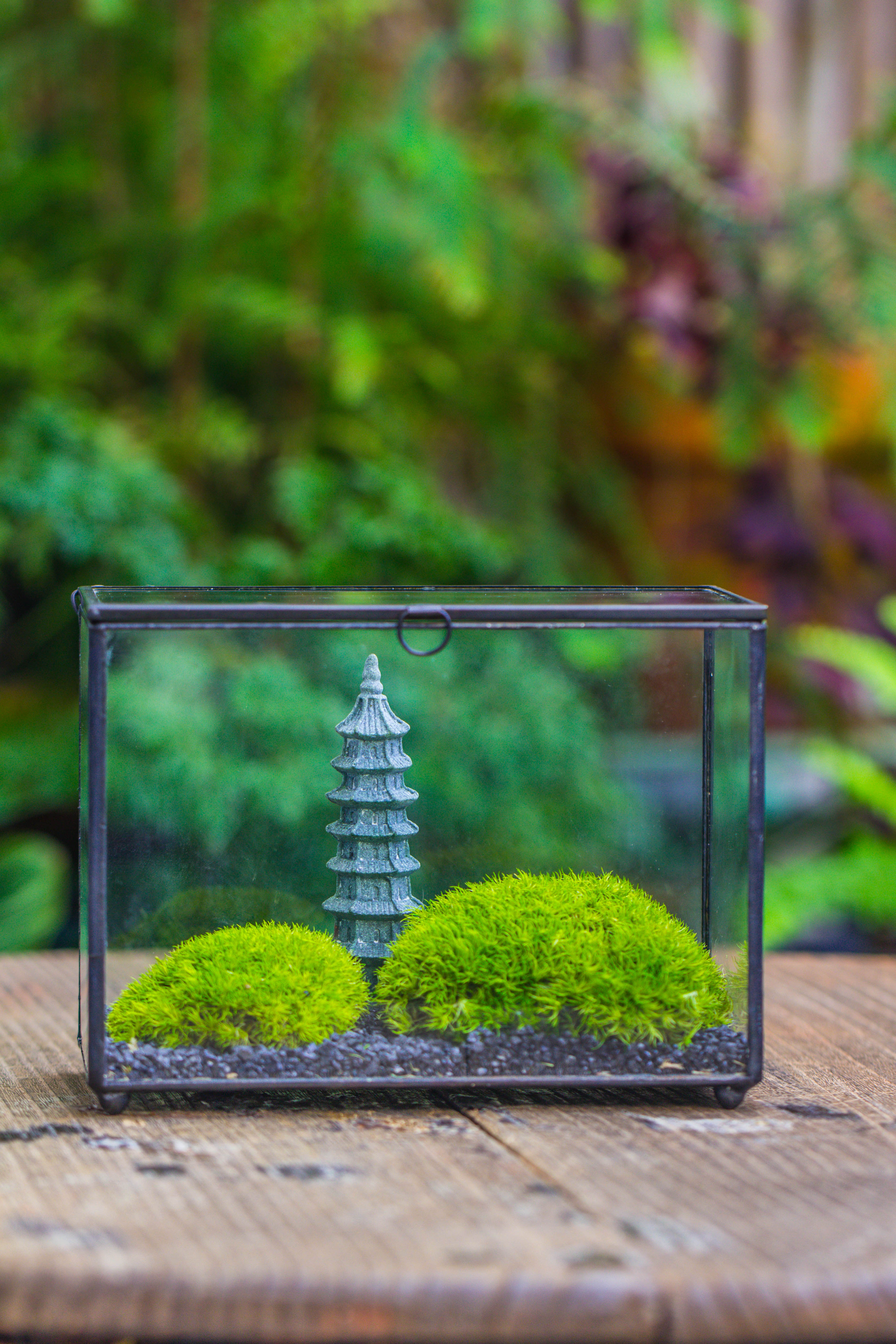 Preserved moss terrarium Miniature DIY set, Japanese Zen Style, Preserved Leucobryum moss and pagoda, 17*10*12cm / 6.7 x 3.9 x 4.7" - NCYPgarden