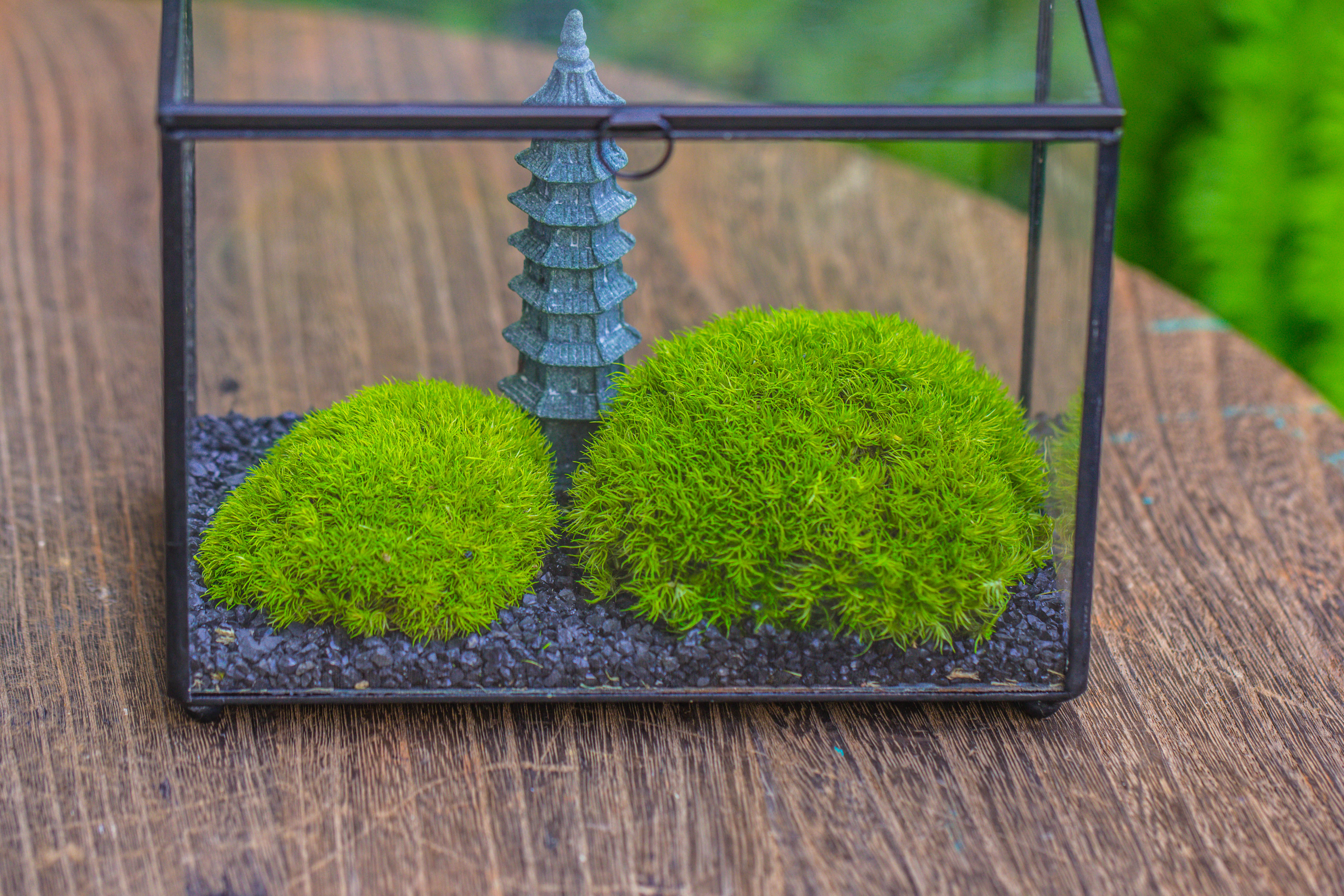 Preserved moss terrarium Miniature DIY set, Japanese Zen Style, Preserved Leucobryum moss and pagoda, 17*10*12cm / 6.7 x 3.9 x 4.7" - NCYPgarden