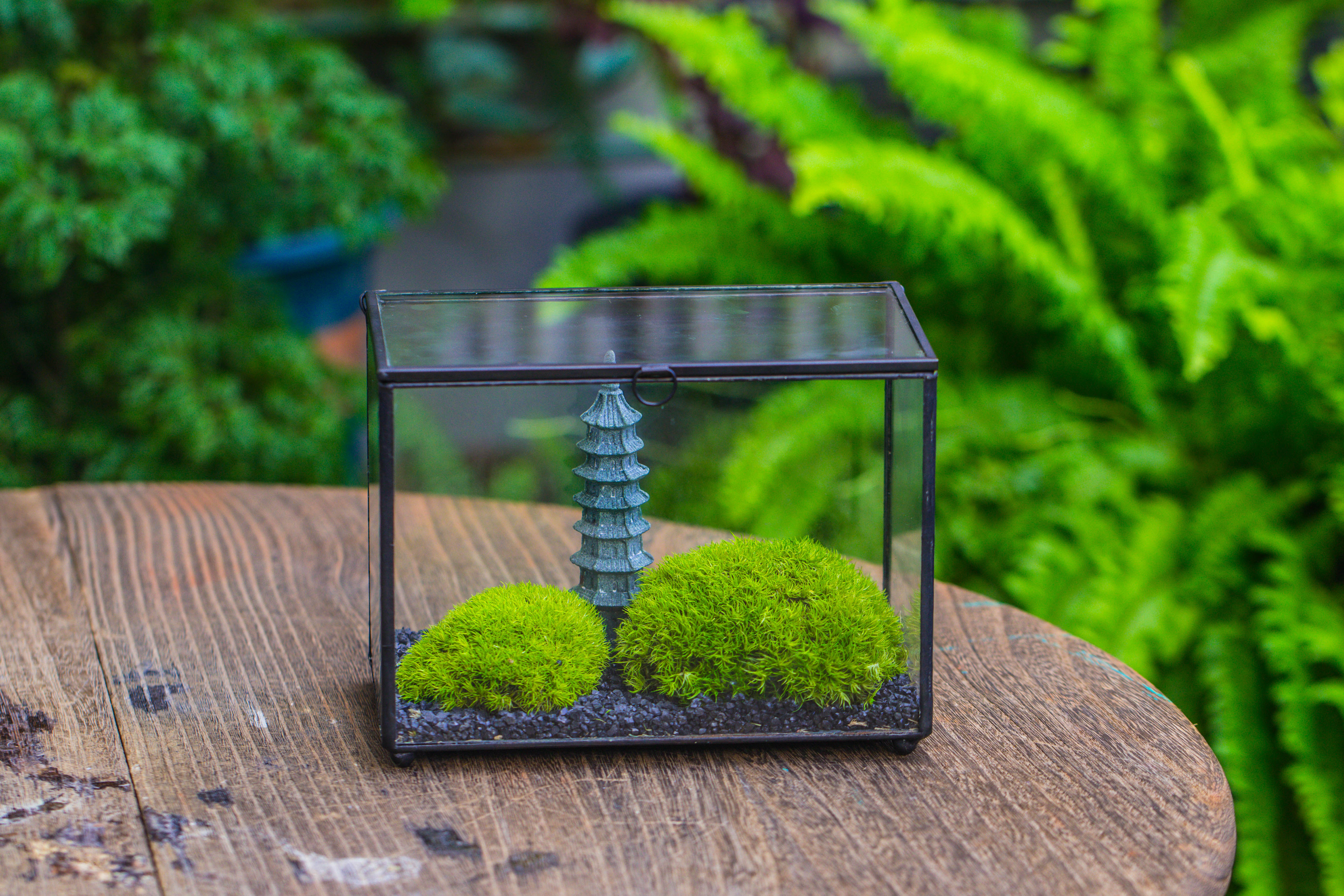 Preserved moss terrarium Miniature DIY set, Japanese Zen Style, Preserved Leucobryum moss and pagoda, 17*10*12cm / 6.7 x 3.9 x 4.7" - NCYPgarden