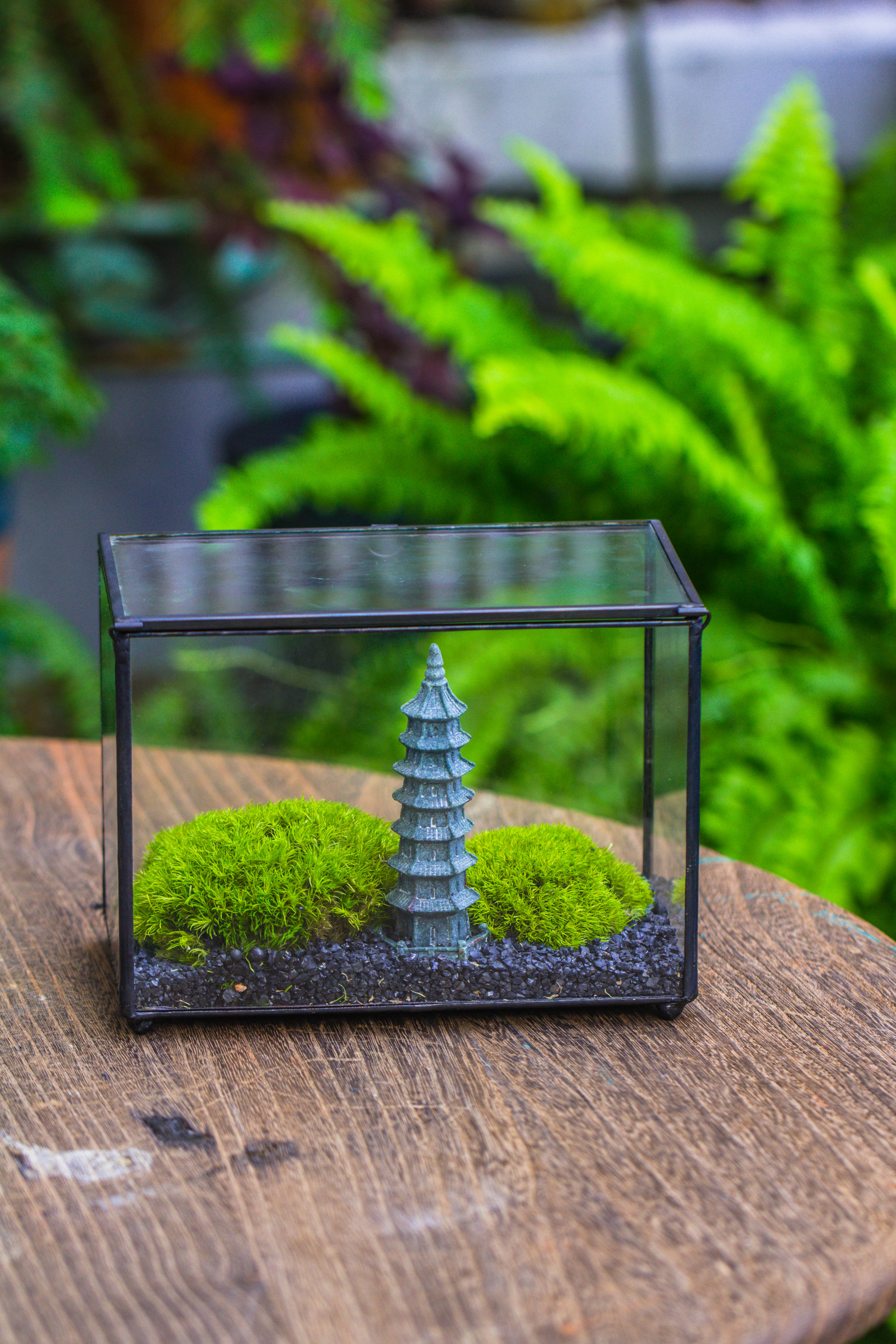 Preserved moss terrarium Miniature DIY set, Japanese Zen Style, Preserved Leucobryum moss and pagoda, 17*10*12cm / 6.7 x 3.9 x 4.7" - NCYPgarden