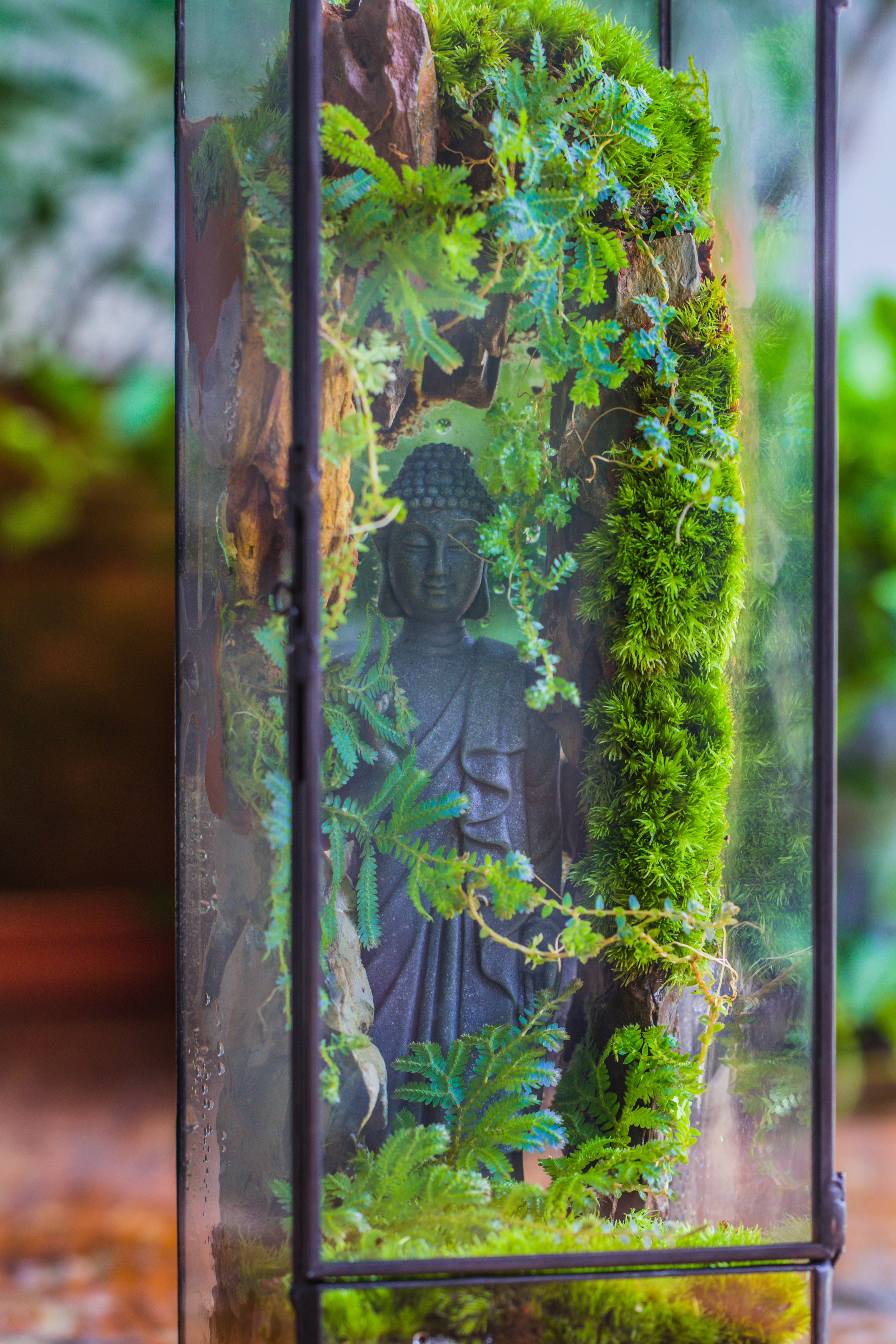 NCYP Close 11.8" Tall Geometric Glass Terrarium with Door DIY set, with Buddha, Dragon rocks, Planting Materials - NCYPgarden