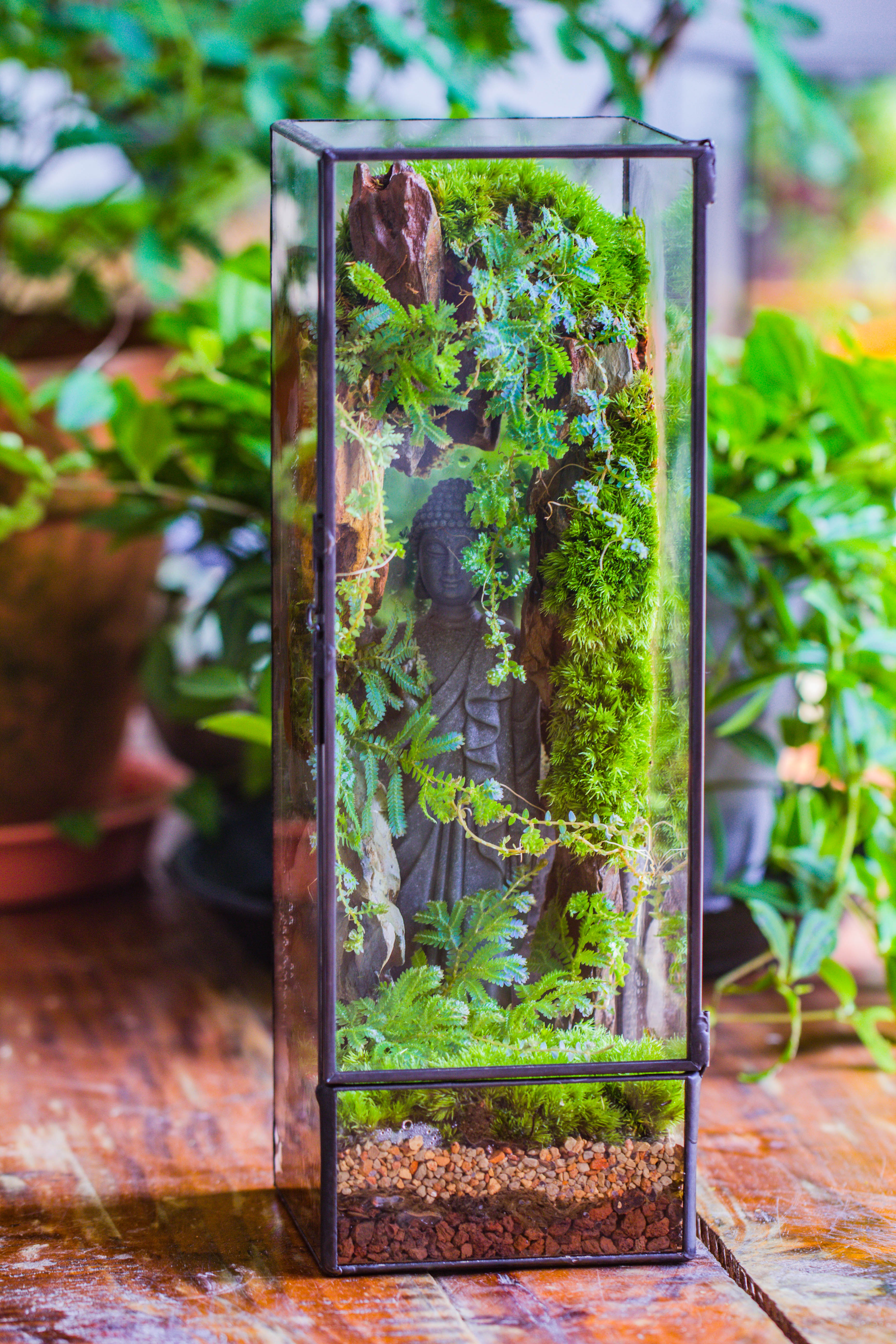 NCYP Close 11.8" Tall Geometric Glass Terrarium with Door DIY set, with Buddha, Dragon rocks, Planting Materials - NCYPgarden