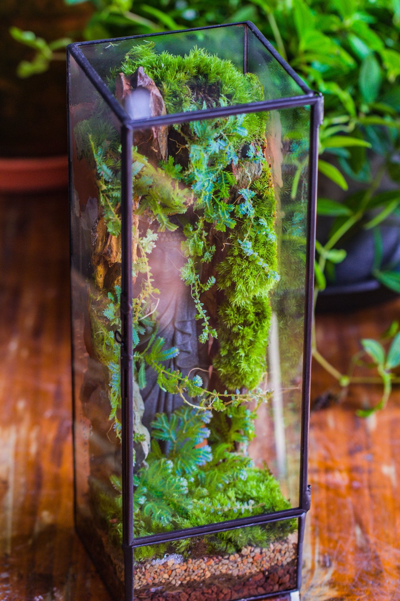 Basic Terrarium NCYP Close 11.8