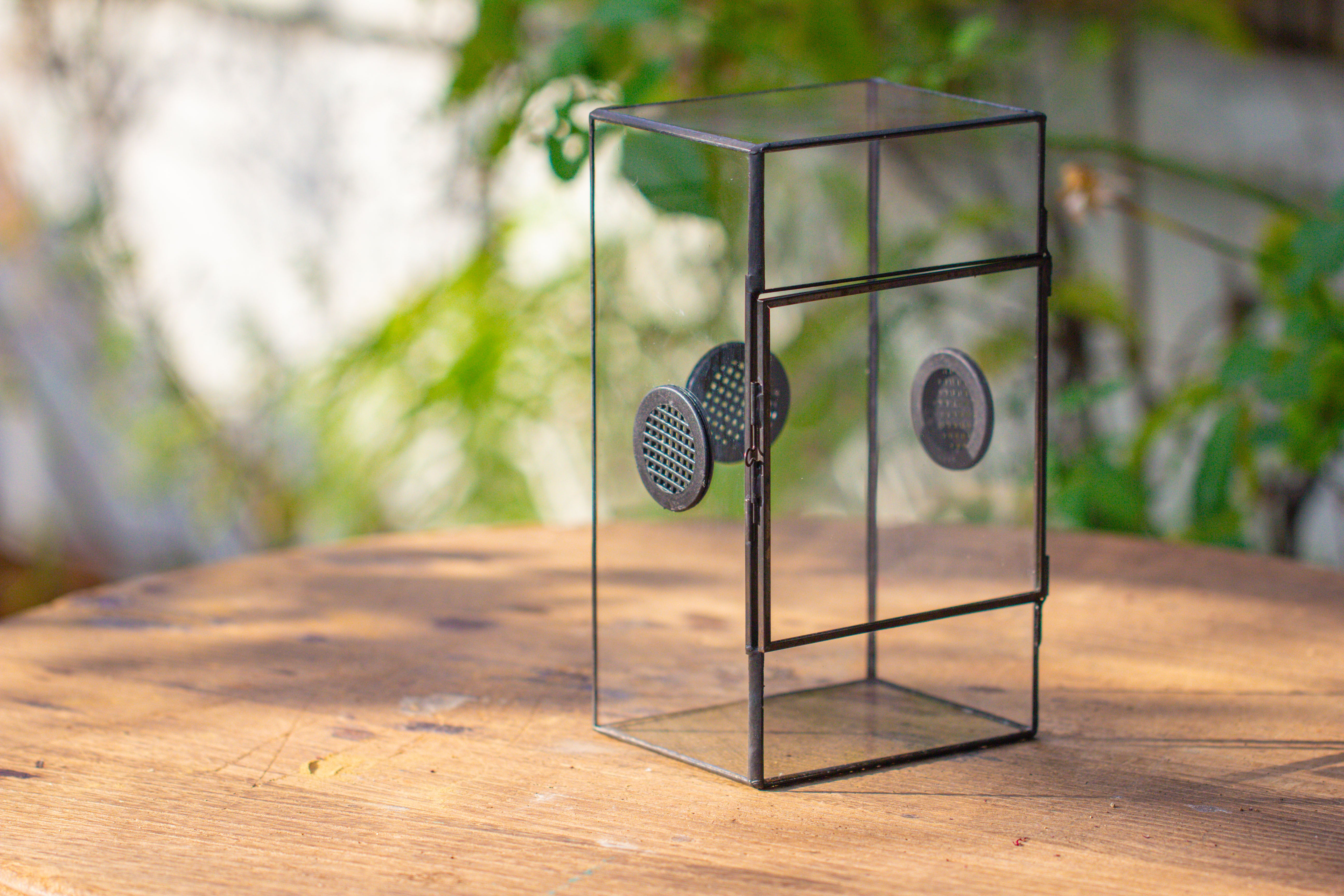 Glass Geometric Terrarium with Door Enclosure, Black Plastic Mesh Vent for Insects, Snail, Jumping Spider, Plants Not Included - NCYPgarden