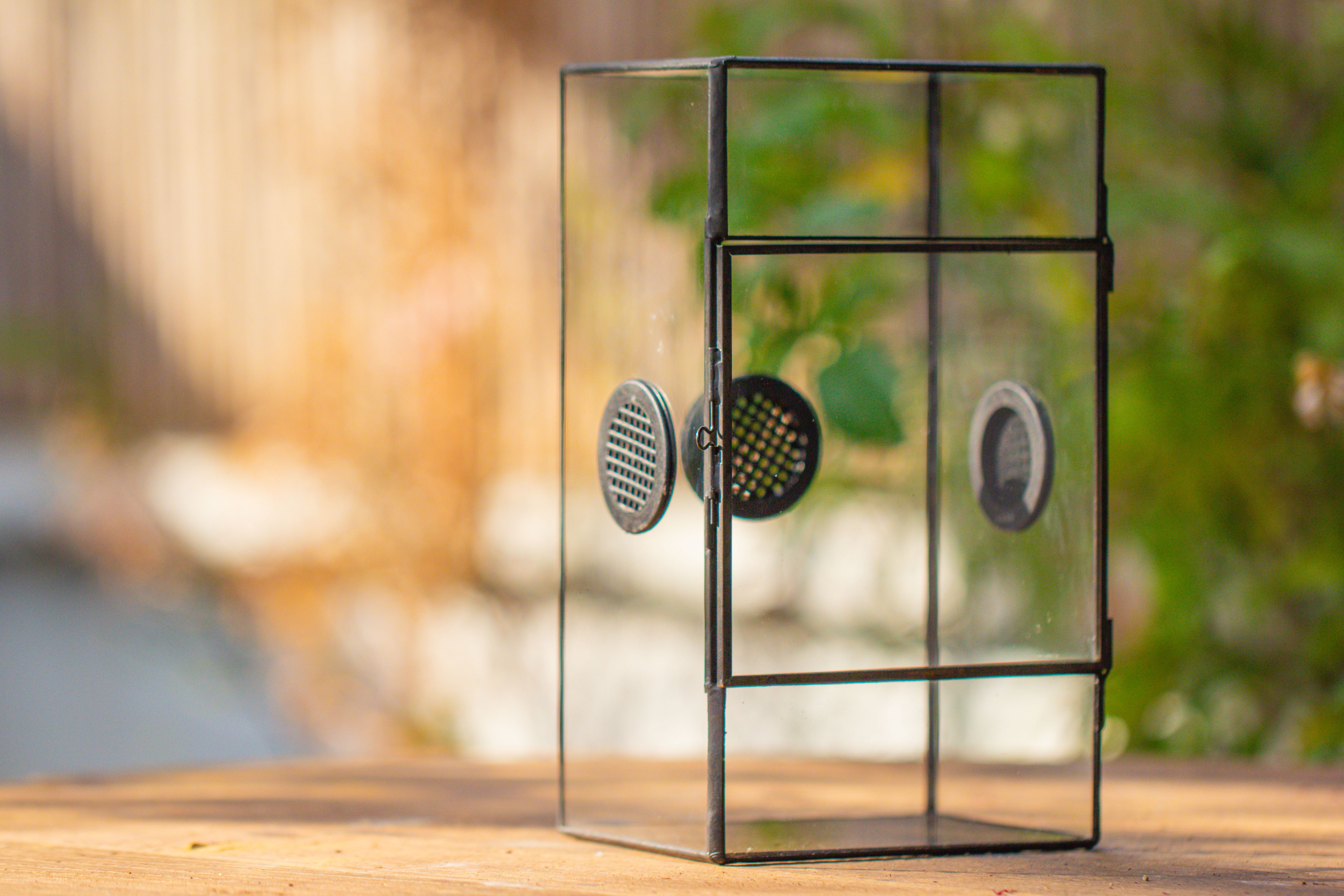 Glass Geometric Terrarium with Door Enclosure, Black Plastic Mesh Vent for Insects, Snail, Jumping Spider, Plants Not Included - NCYPgarden