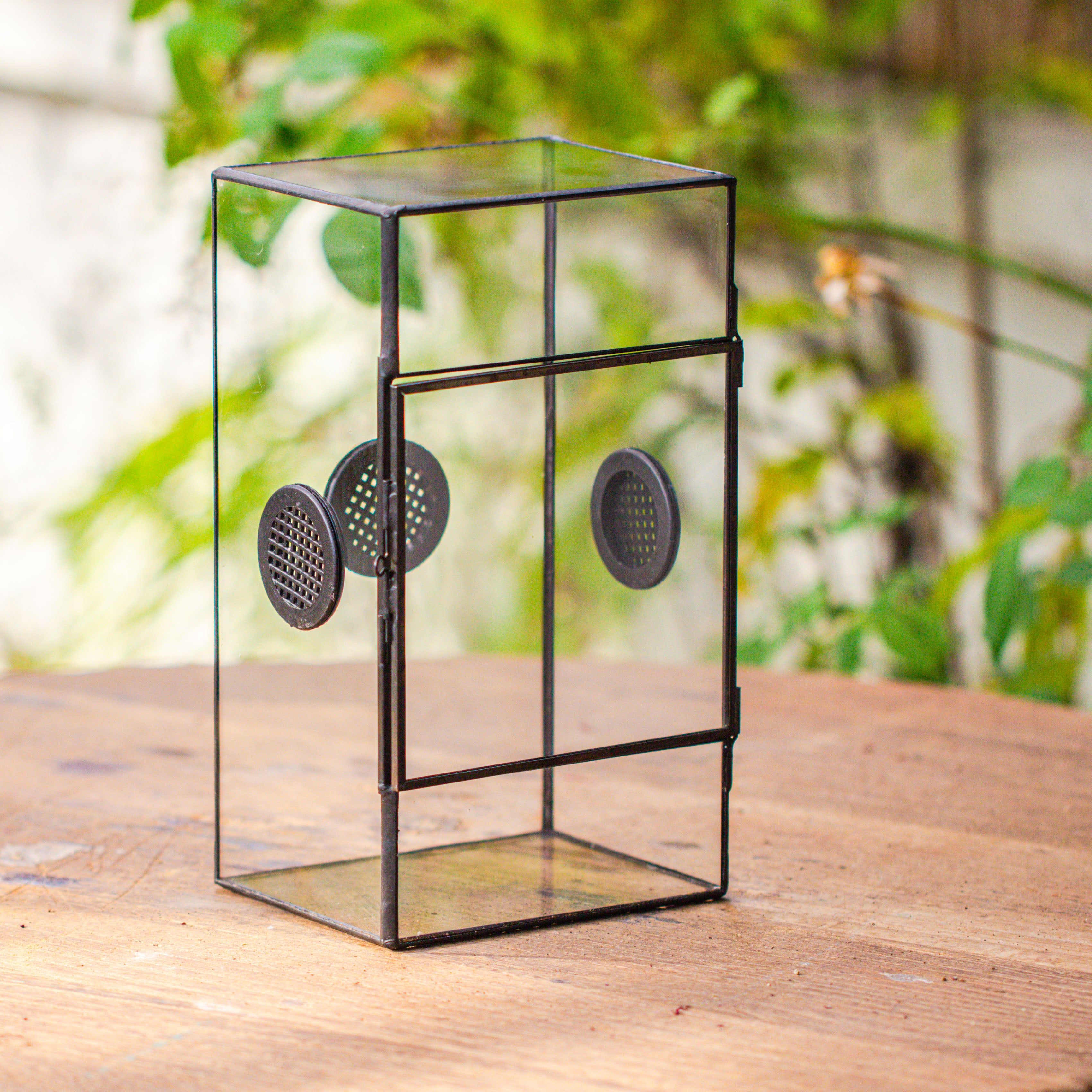 Glass Geometric Terrarium with Door Enclosure, Black Plastic Mesh Vent for Insects, Snail, Jumping Spider, Plants Not Included - NCYPgarden