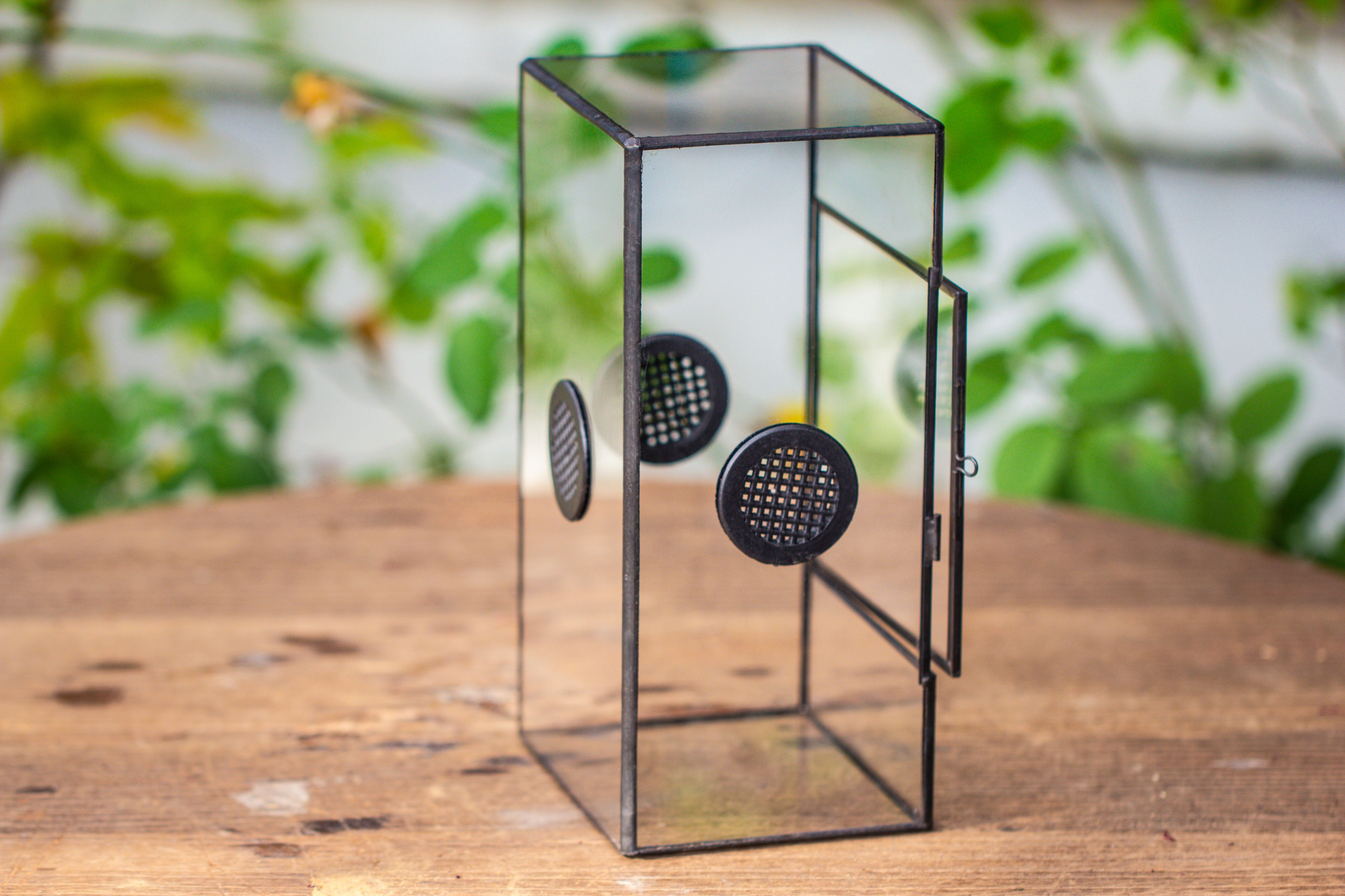 Glass Geometric Terrarium with Door Enclosure, Black Plastic Mesh Vent for Insects, Snail, Jumping Spider, Plants Not Included - NCYPgarden