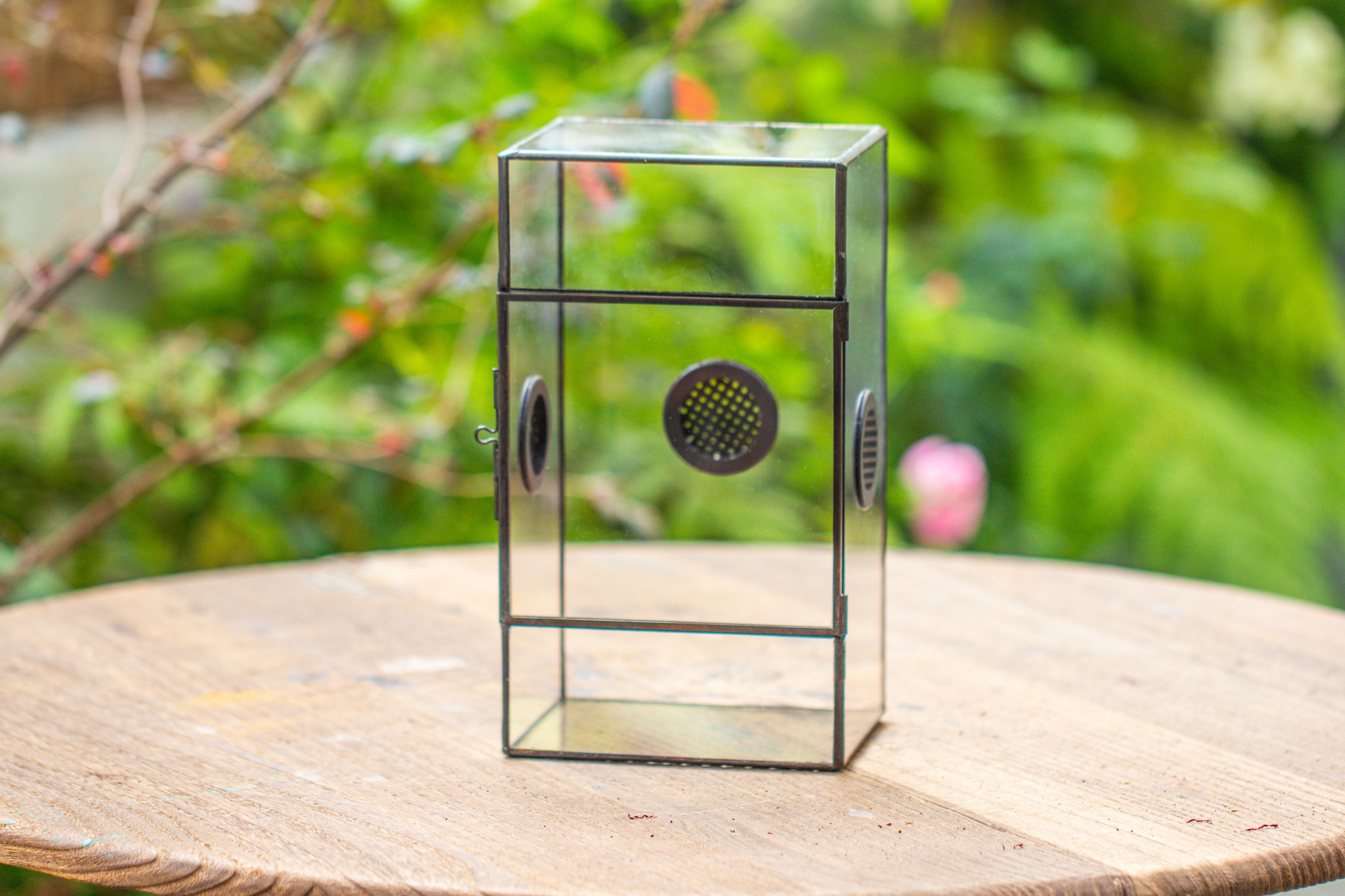 Glass Geometric Terrarium with Door Enclosure, Black Plastic Mesh Vent for Insects, Snail, Jumping Spider, Plants Not Included - NCYPgarden