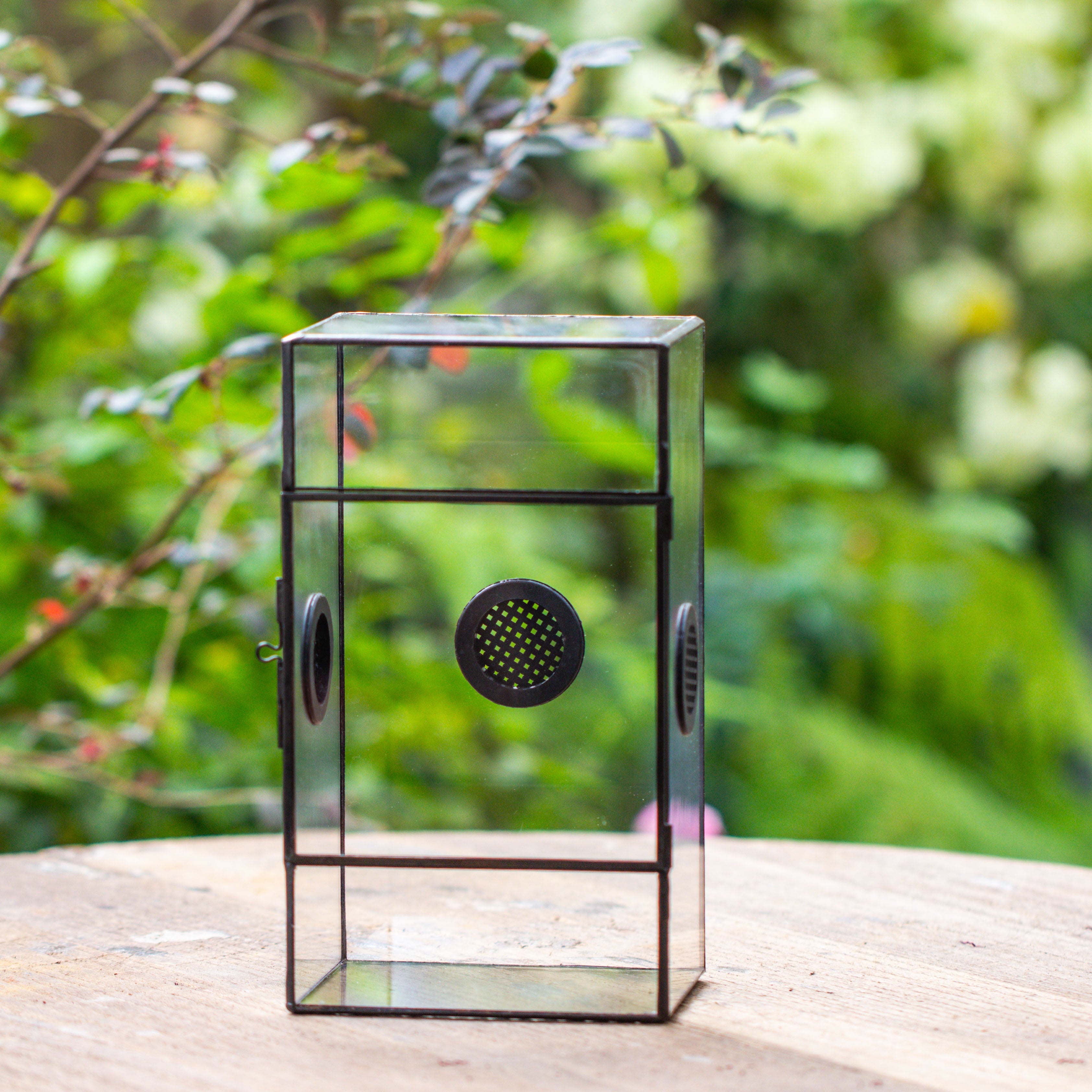 Glass Geometric Terrarium with Door Enclosure, Black Plastic Mesh Vent for Insects, Snail, Jumping Spider, Plants Not Included - NCYPgarden