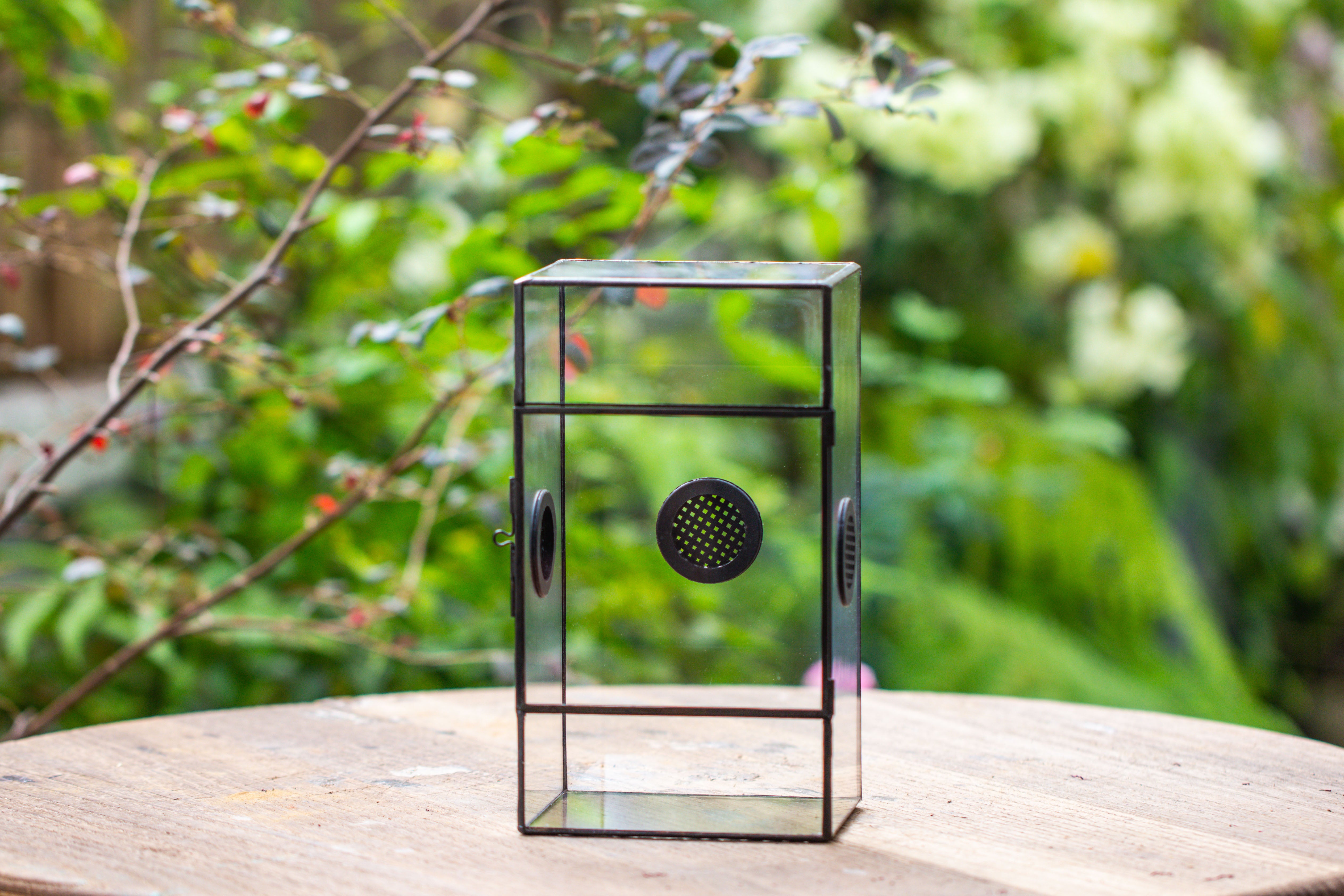 Glass Geometric Terrarium with Door Enclosure, Black Plastic Mesh Vent for Insects, Snail, Jumping Spider, Plants Not Included - NCYPgarden