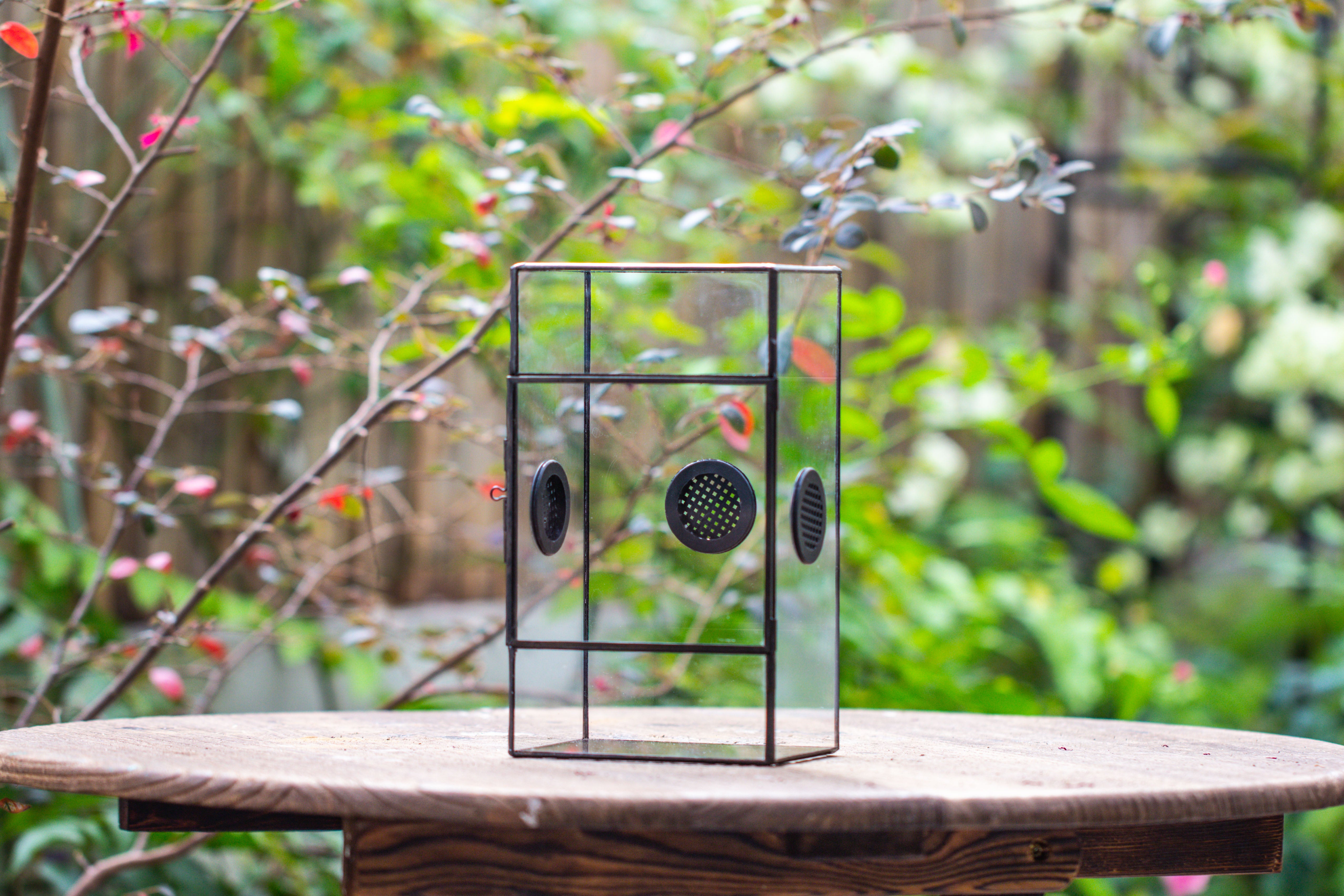 Glass Geometric Terrarium with Door Enclosure, Black Plastic Mesh Vent for Insects, Snail, Jumping Spider, Plants Not Included - NCYPgarden