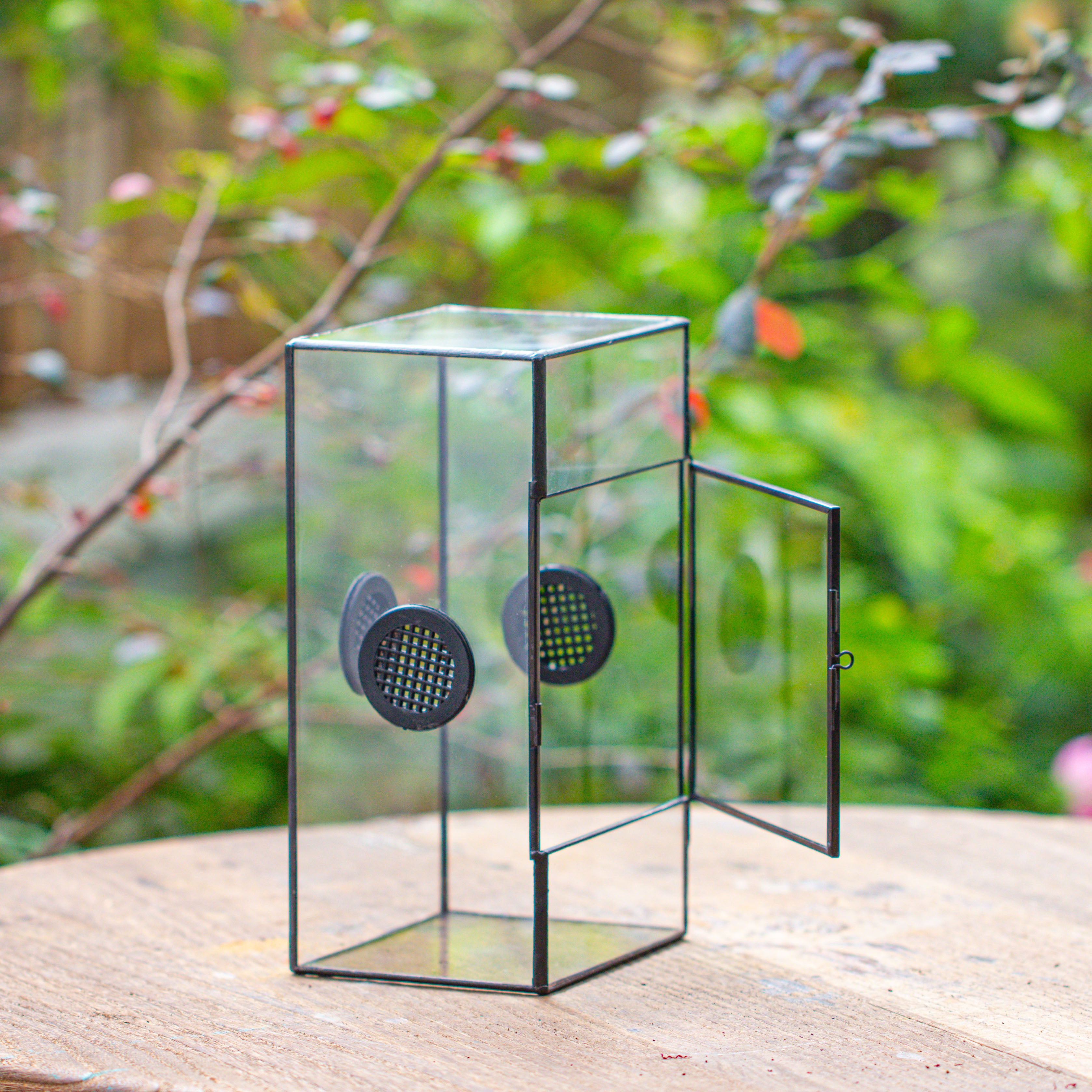 Glass Geometric Terrarium with Door Enclosure, Black Plastic Mesh Vent for Insects, Snail, Jumping Spider, Plants Not Included - NCYPgarden