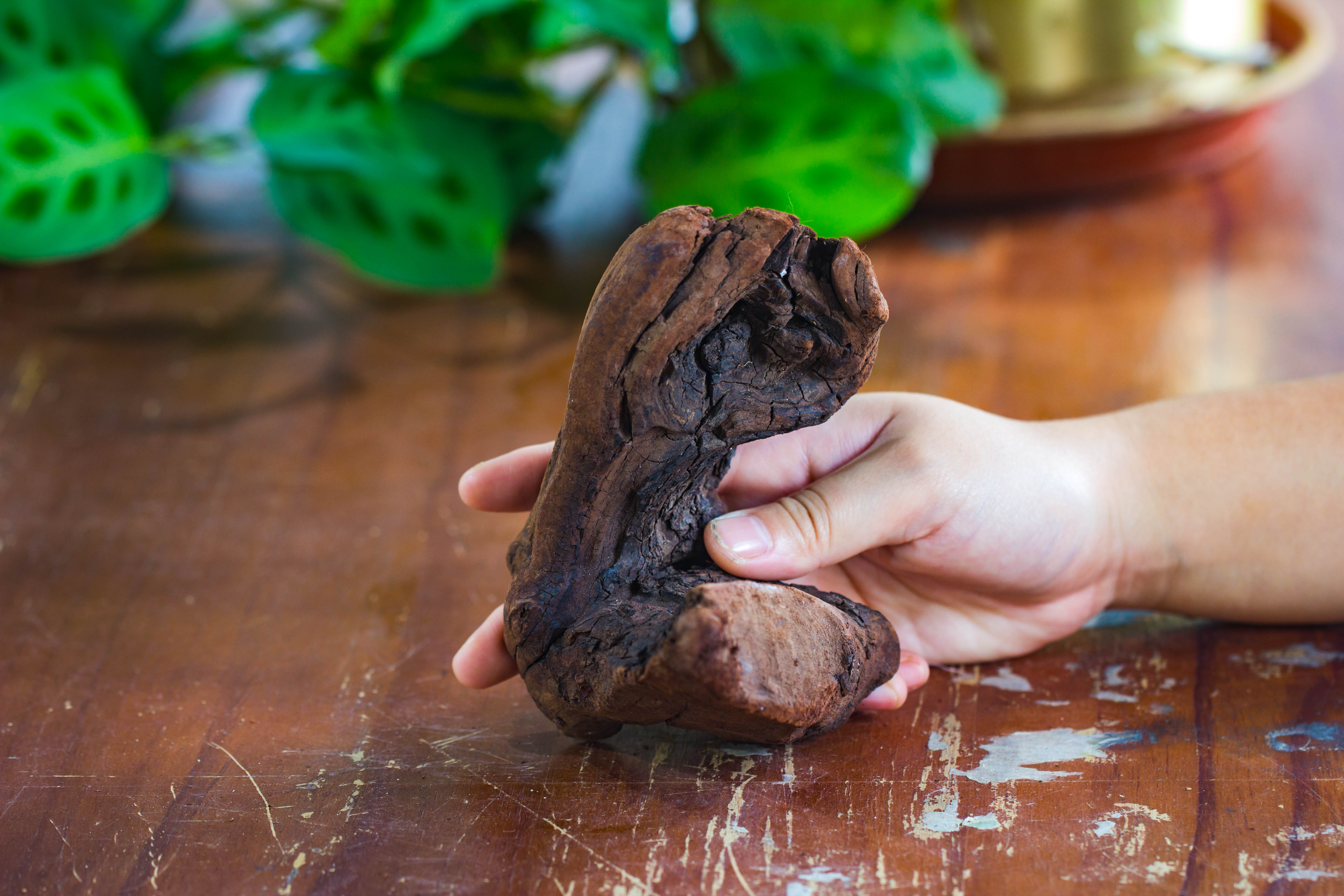 Natural driftwood for moss terrarium, miniature, micro landscape, unique  10-2, suitable for both live and preserved moss - NCYPgarden