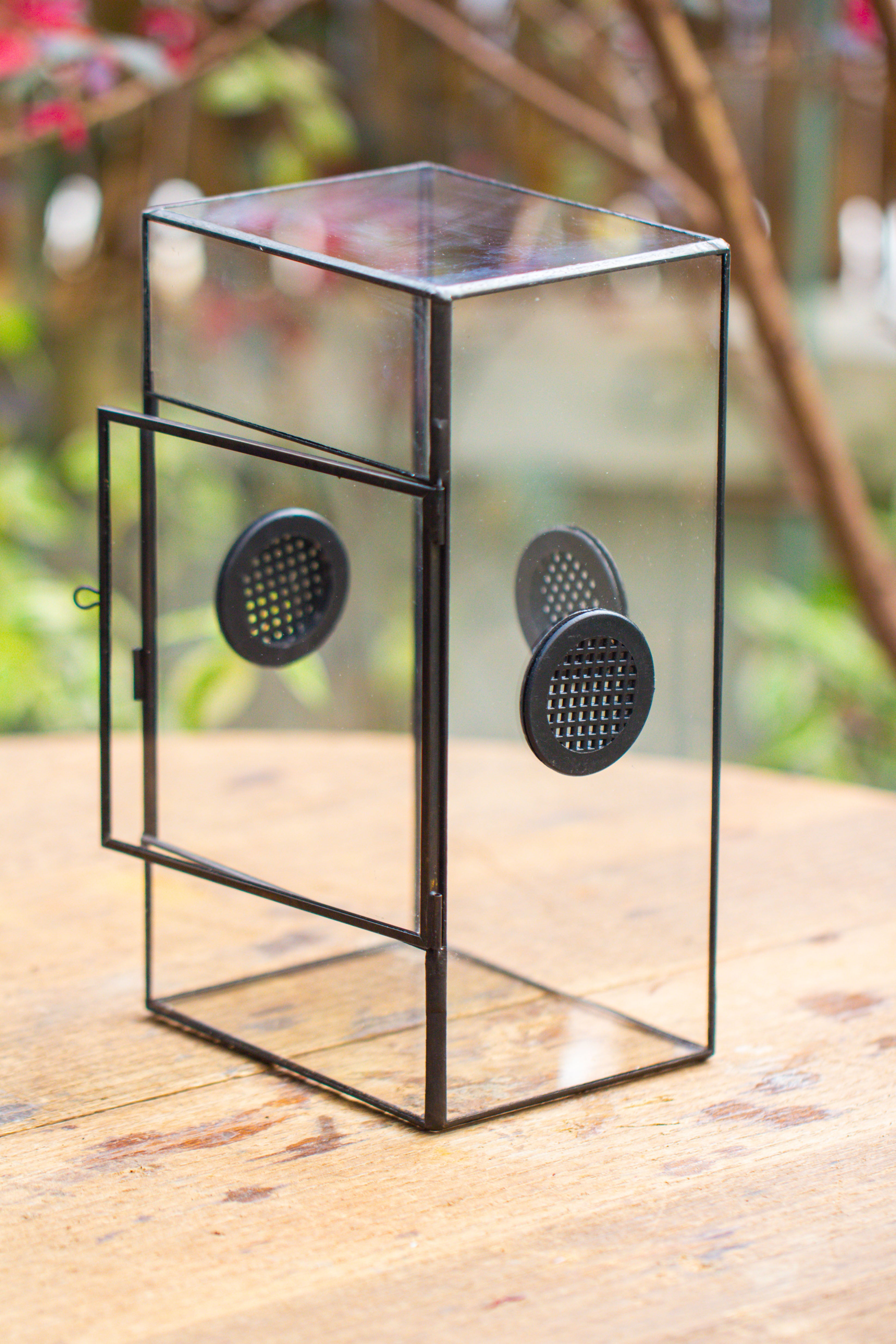 Glass Geometric Terrarium with Door Enclosure, Black Plastic Mesh Vent for Insects, Snail, Jumping Spider, Plants Not Included - NCYPgarden