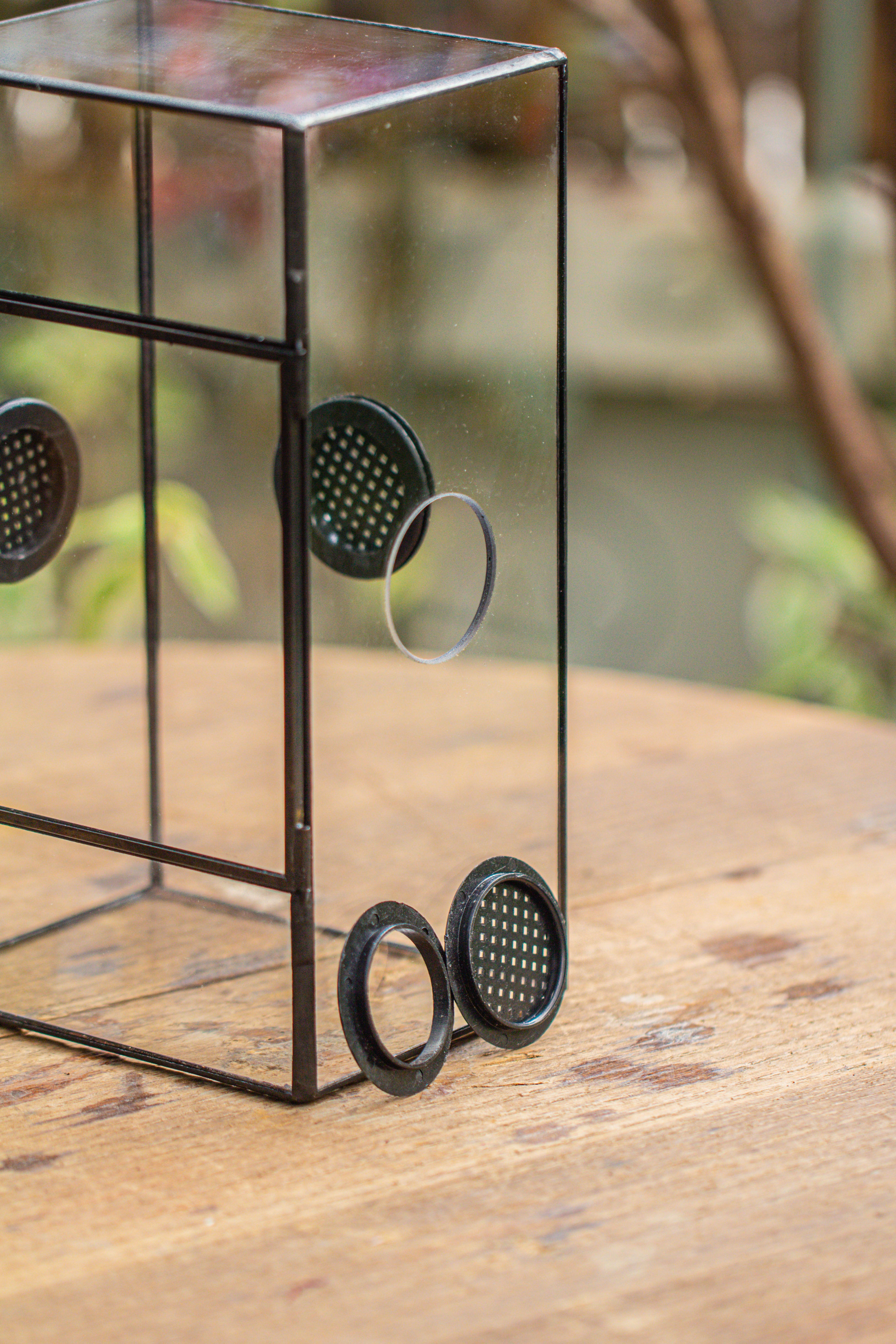 Glass Geometric Terrarium with Door Enclosure, Black Plastic Mesh Vent for Insects, Snail, Jumping Spider, Plants Not Included - NCYPgarden