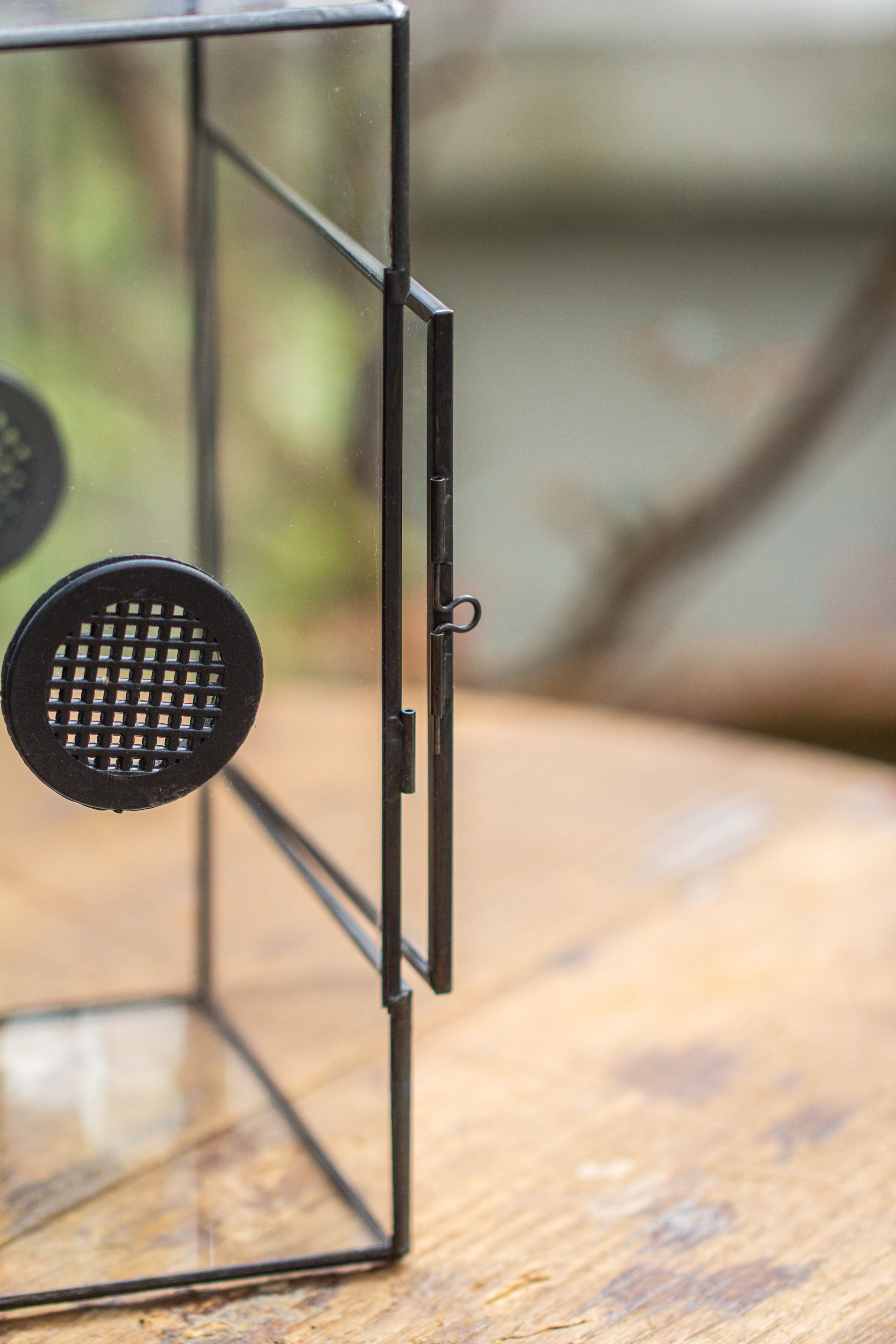 Glass Geometric Terrarium with Door Enclosure, Black Plastic Mesh Vent for Insects, Snail, Jumping Spider, Plants Not Included - NCYPgarden