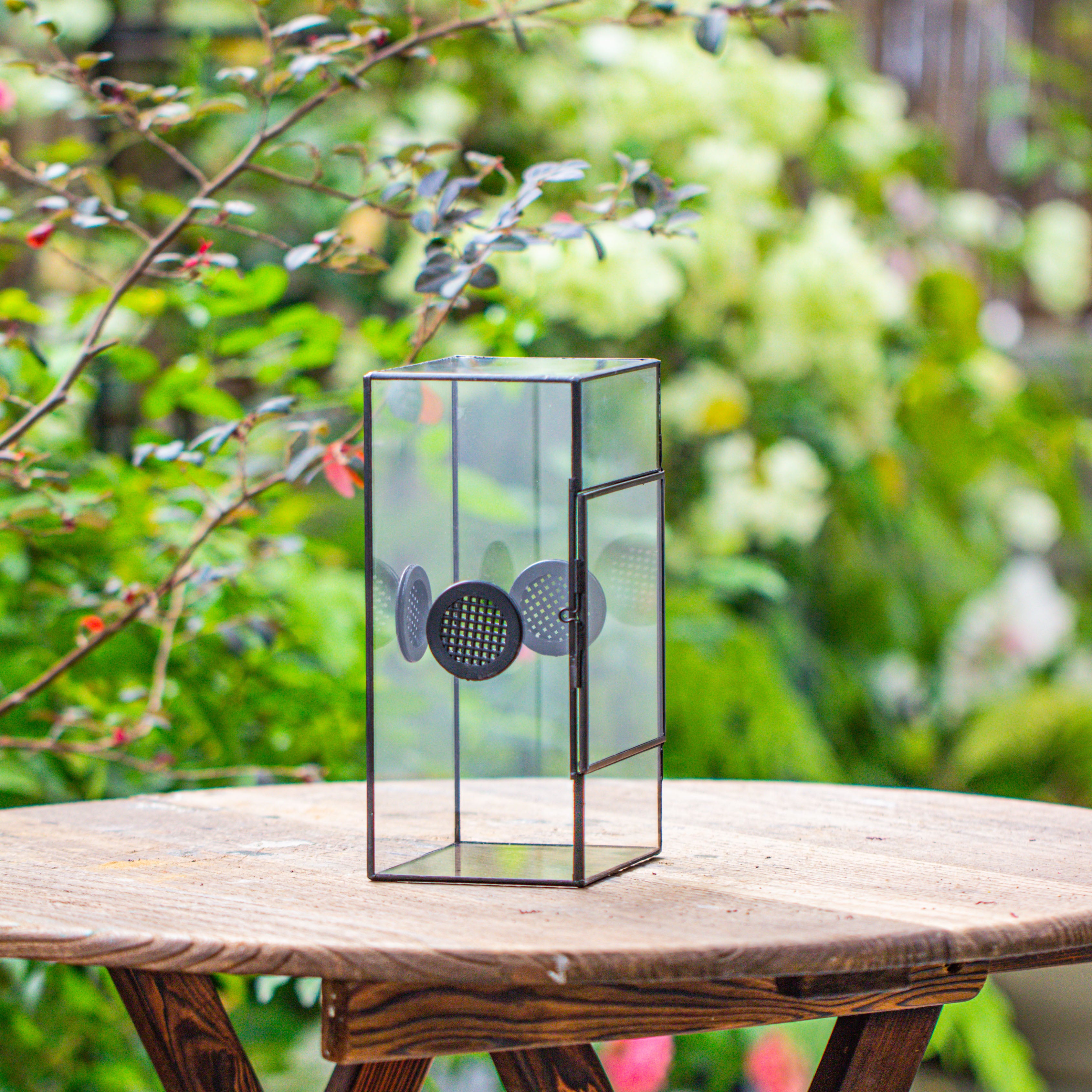 Glass Geometric Terrarium with Door Enclosure, Black Plastic Mesh Vent for Insects, Snail, Jumping Spider, Plants Not Included - NCYPgarden