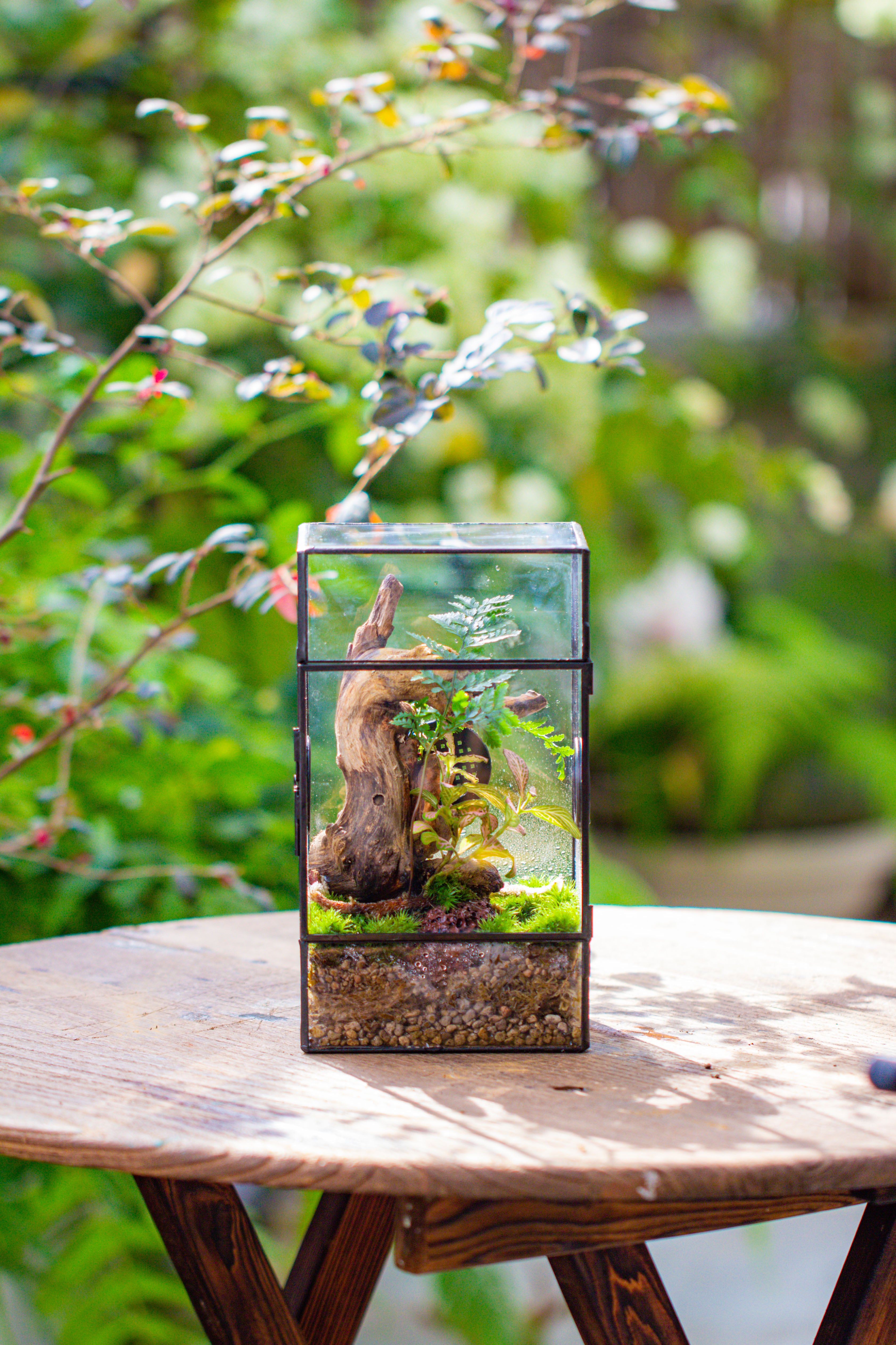Glass Geometric Terrarium with Door Enclosure, Black Plastic Mesh Vent for Insects, Snail, Jumping Spider, Plants Not Included - NCYPgarden