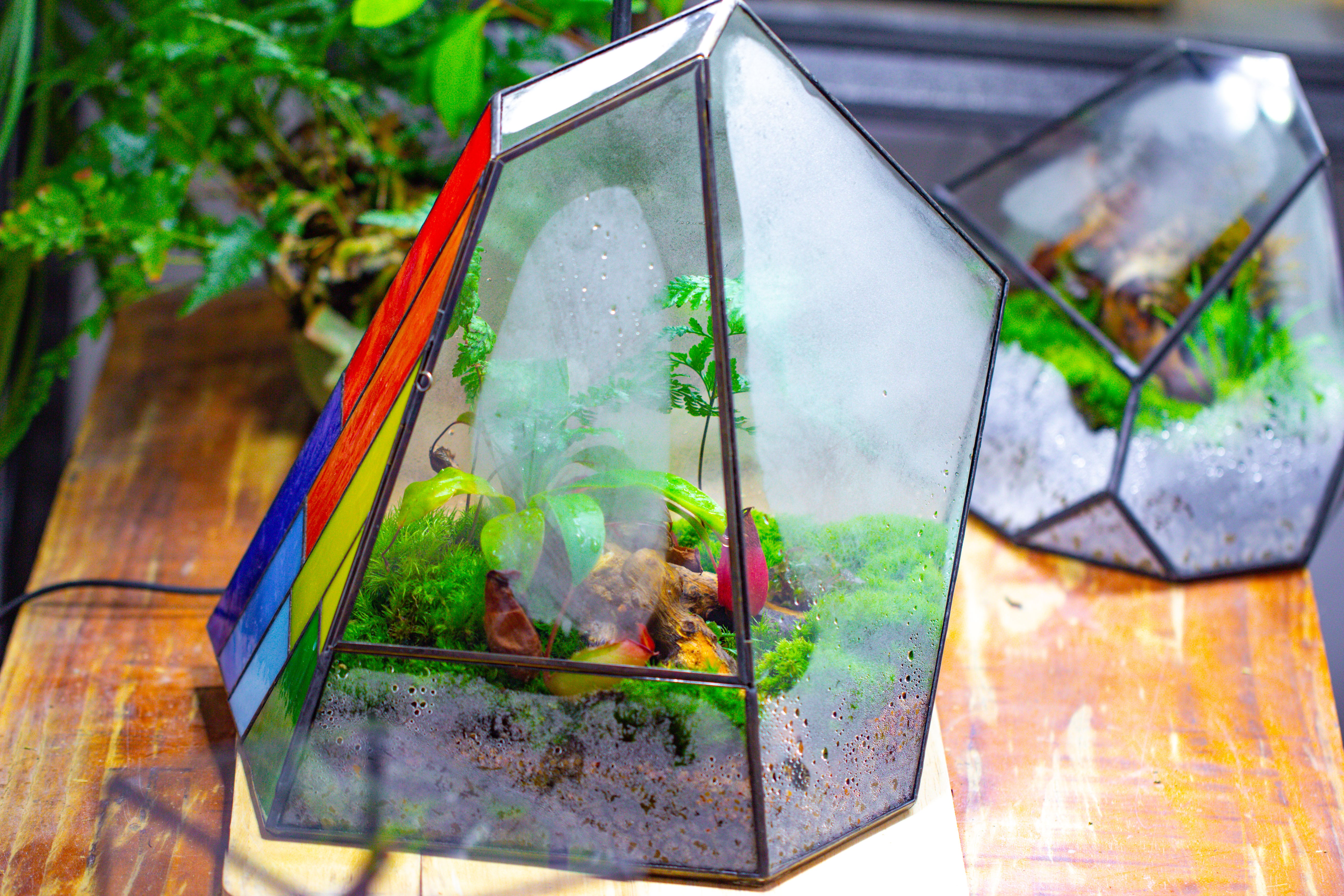 Rainbow Stained Glass Irregular Geometric Ice Peak  Shape Terrarium, Close - NCYPgarden
