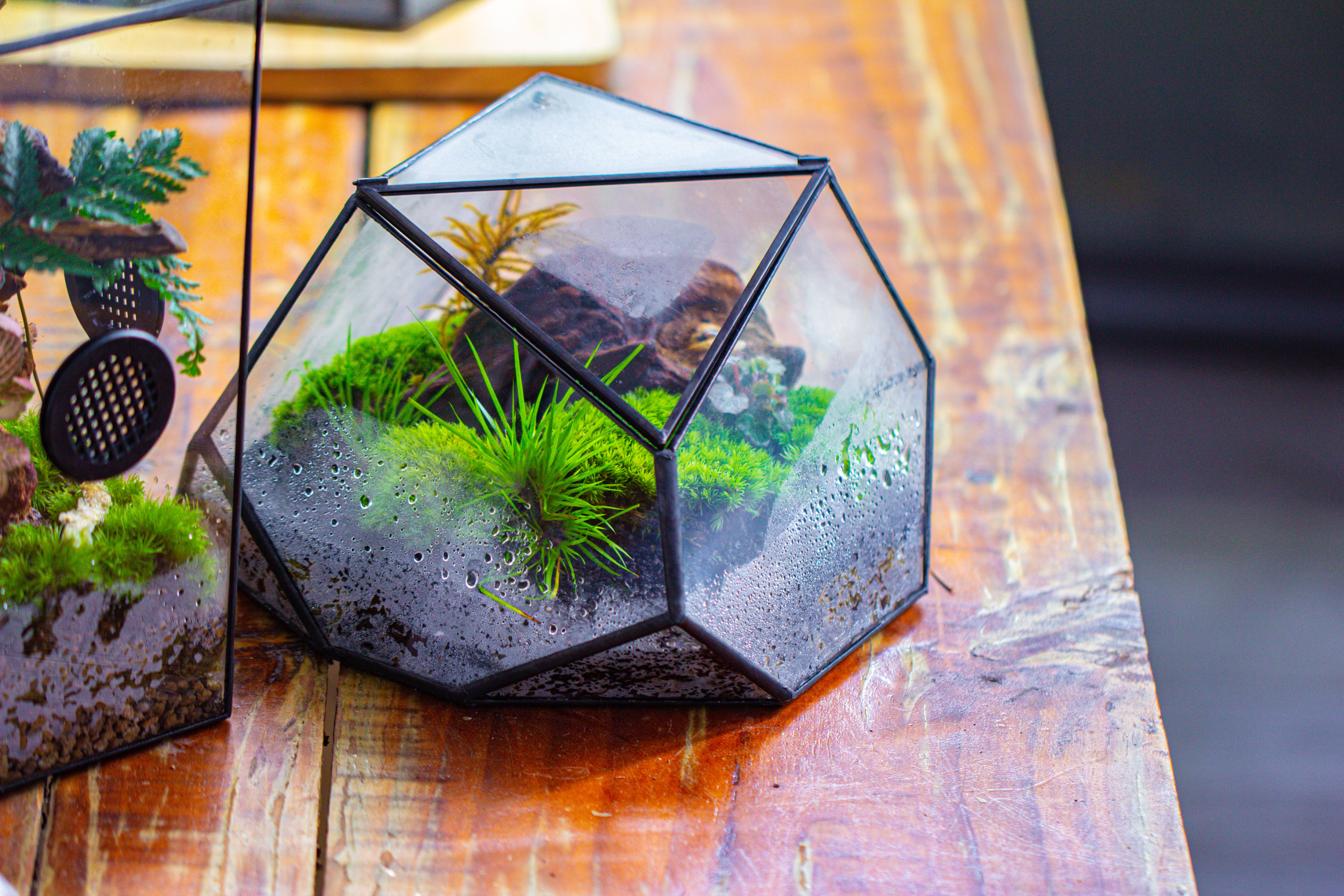 Geometric Terrarium Irregular, handmade,Tin and Glass - NCYPgarden